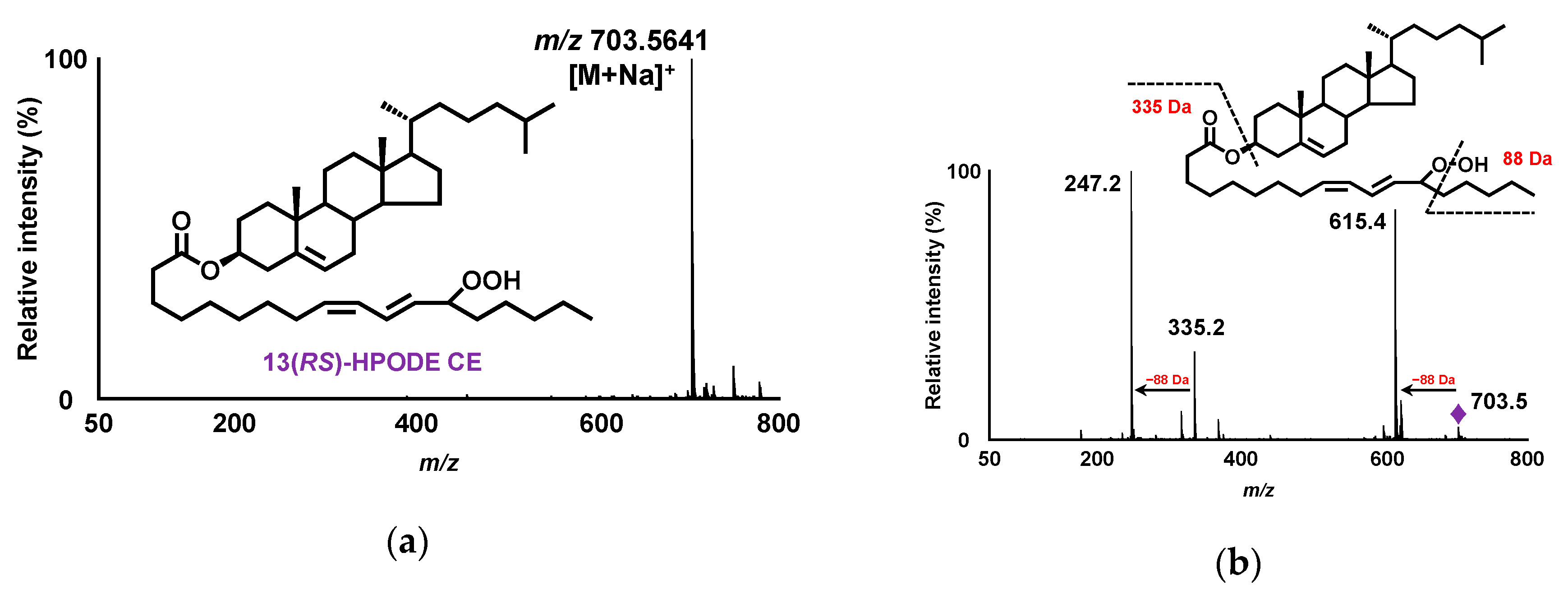 Symmetry 12 01127 g002
