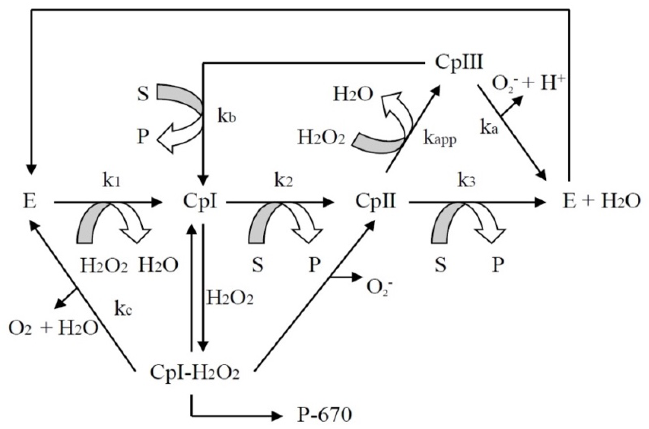 Symmetry 12 01129 g002