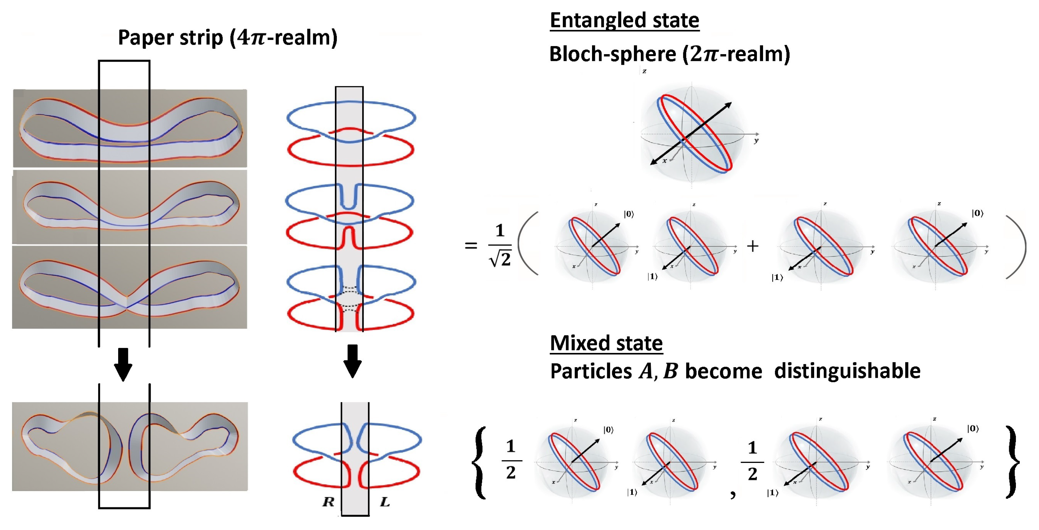Symmetry 12 01135 g012