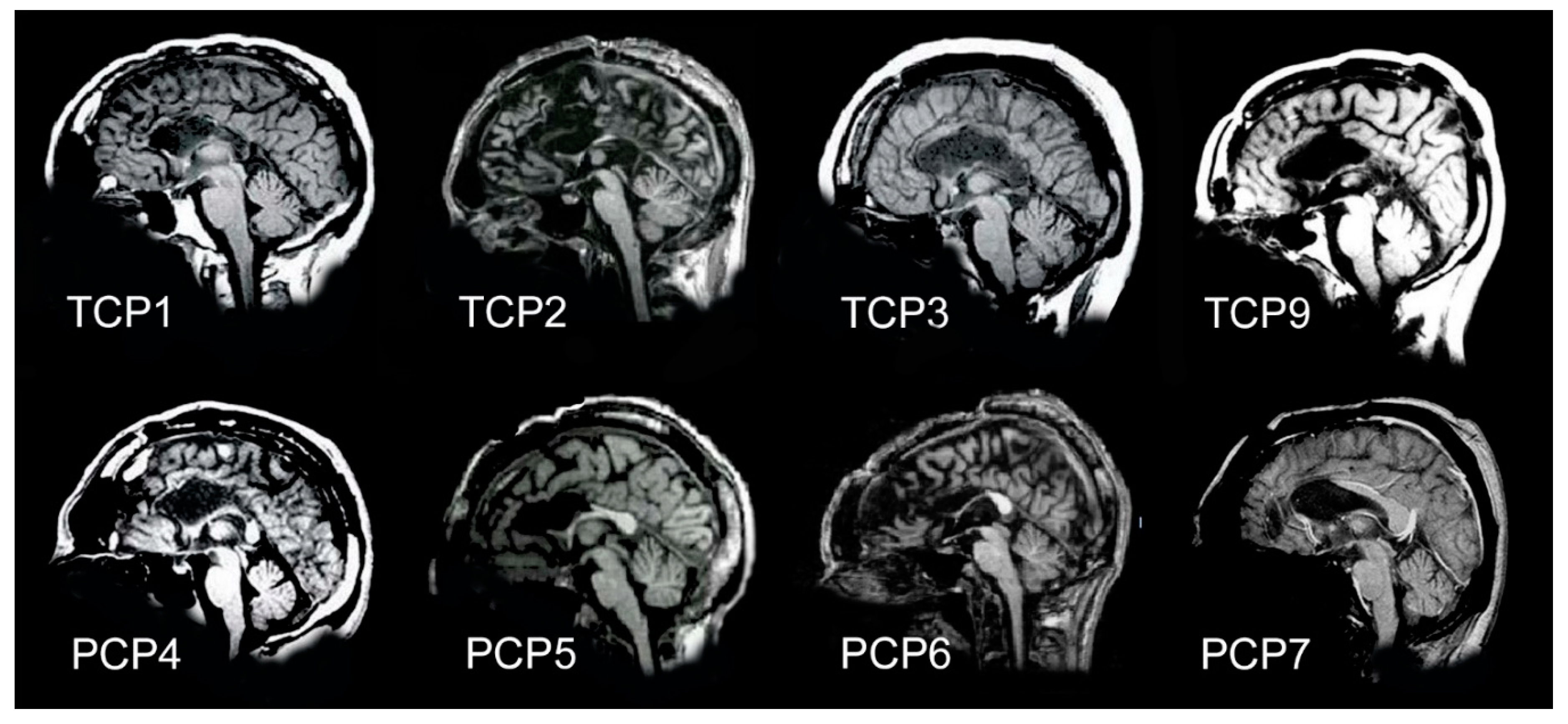 Symmetry 12 01137 g002