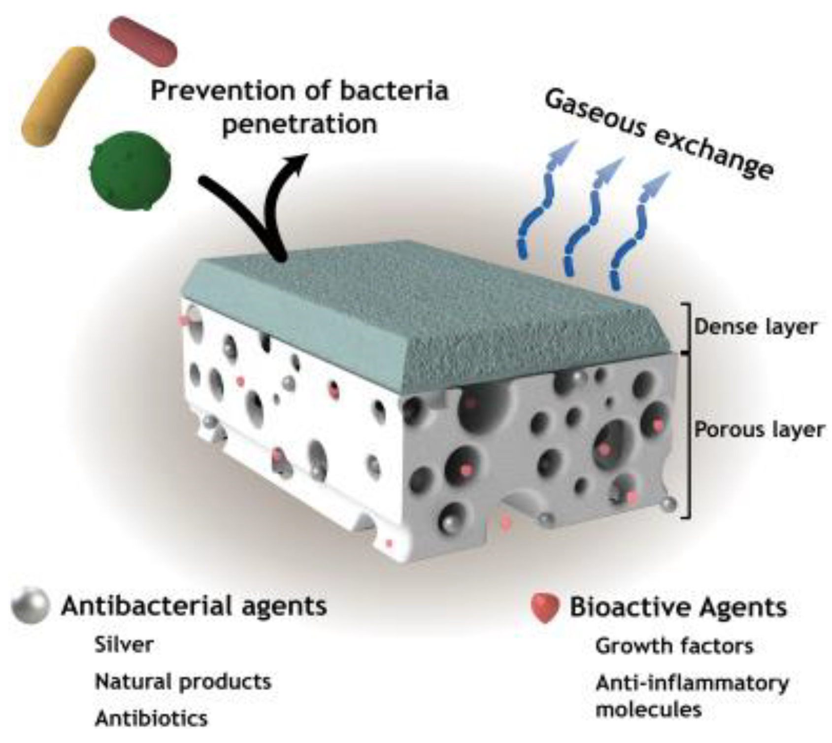 Symmetry 12 01160 g004 Symmetry 12 01160 g004
