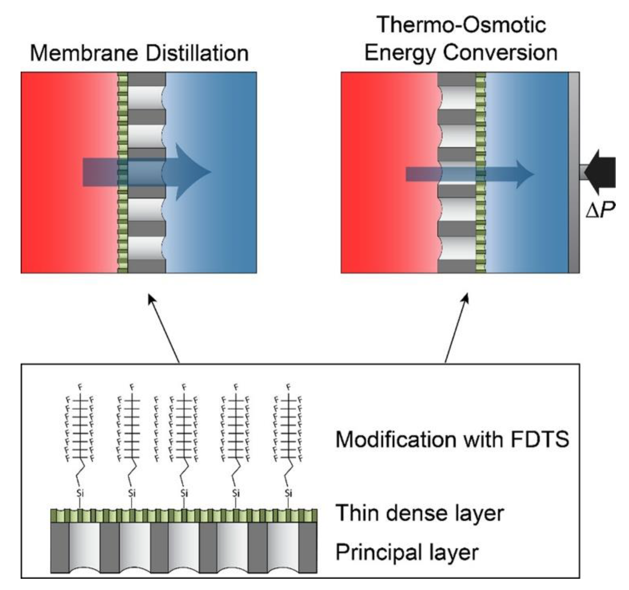 Symmetry 12 01160 g005 Symmetry 12 01160 g005