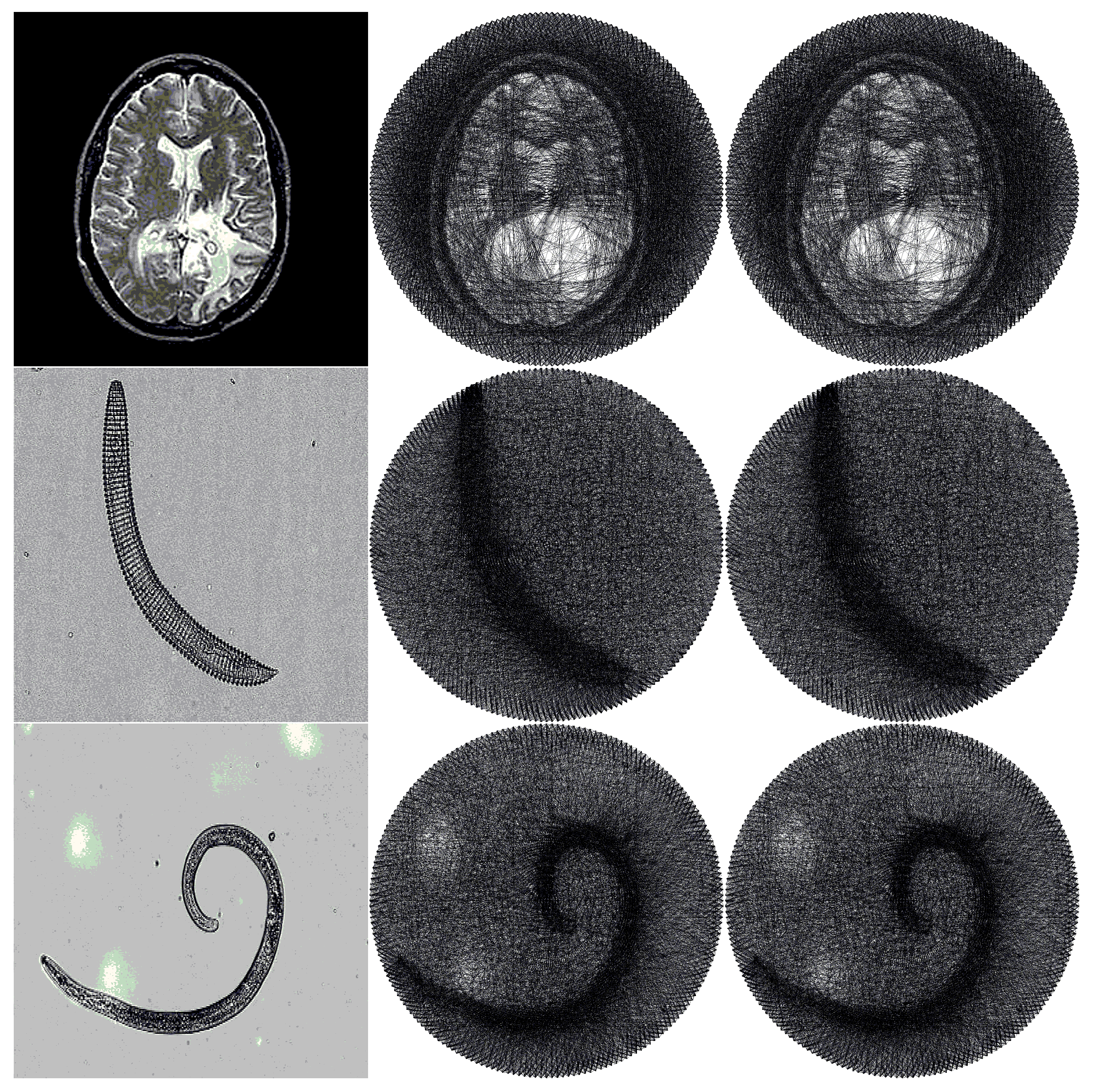 Symmetry 12 01227 g014 Symmetry 12 01227 g014