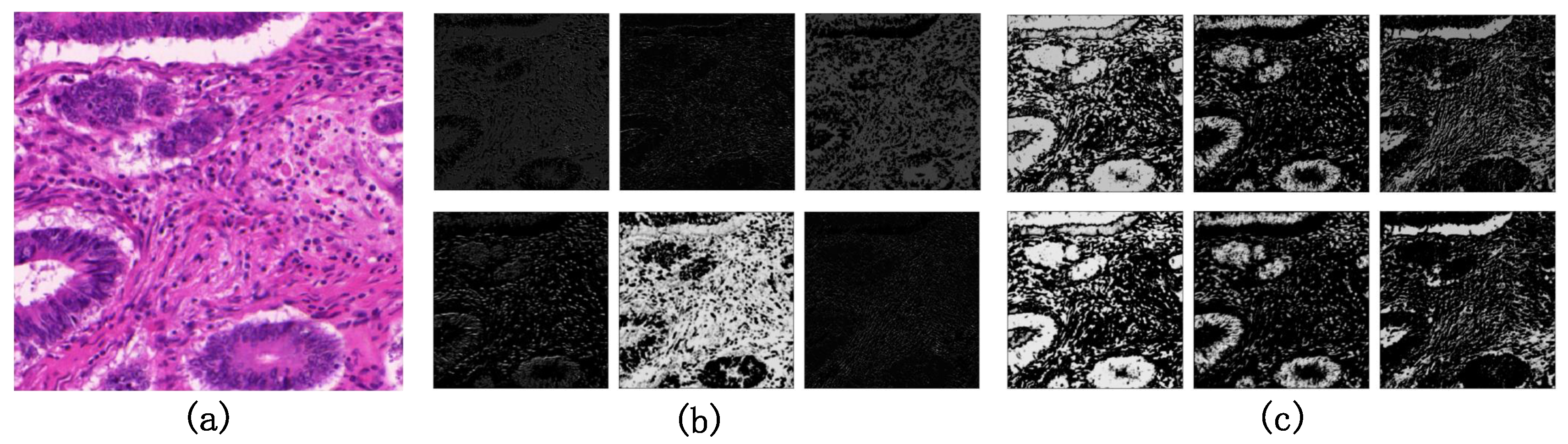 Symmetry 12 01230 g008