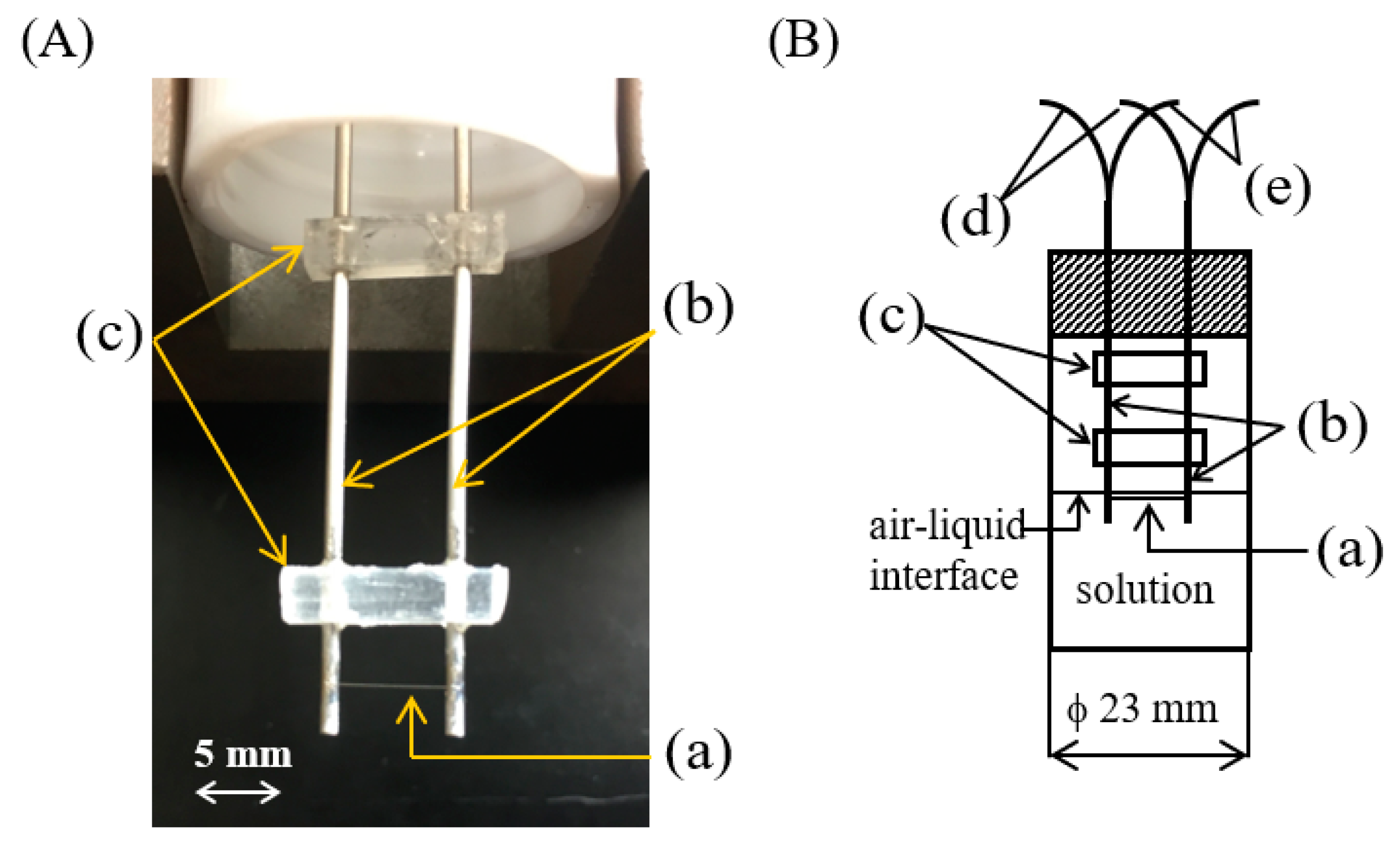 Symmetry 12 01279 g001 Symmetry 12 01279 g001