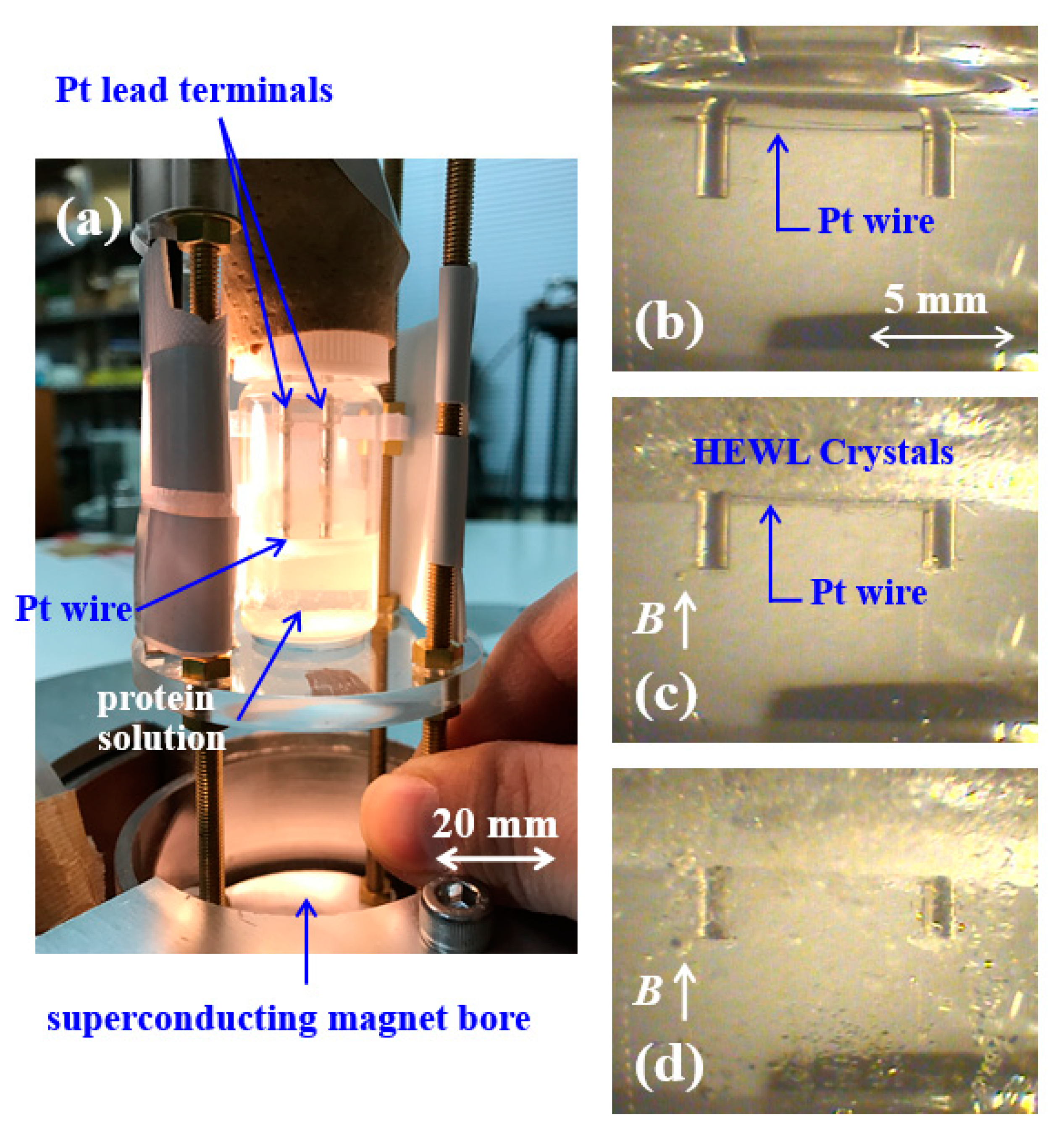 Symmetry 12 01279 g004 Symmetry 12 01279 g004