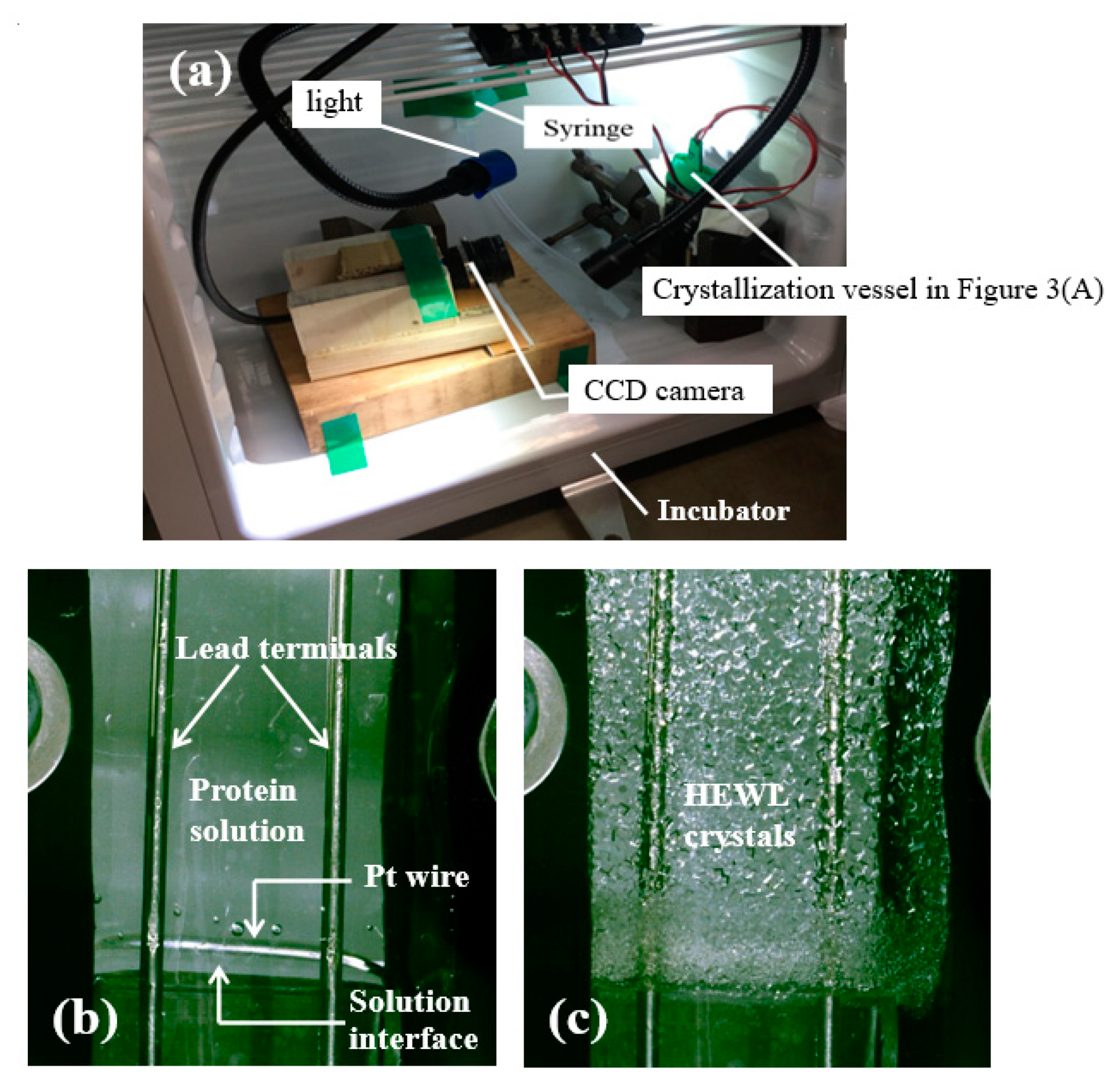 Symmetry 12 01279 g005 Symmetry 12 01279 g005