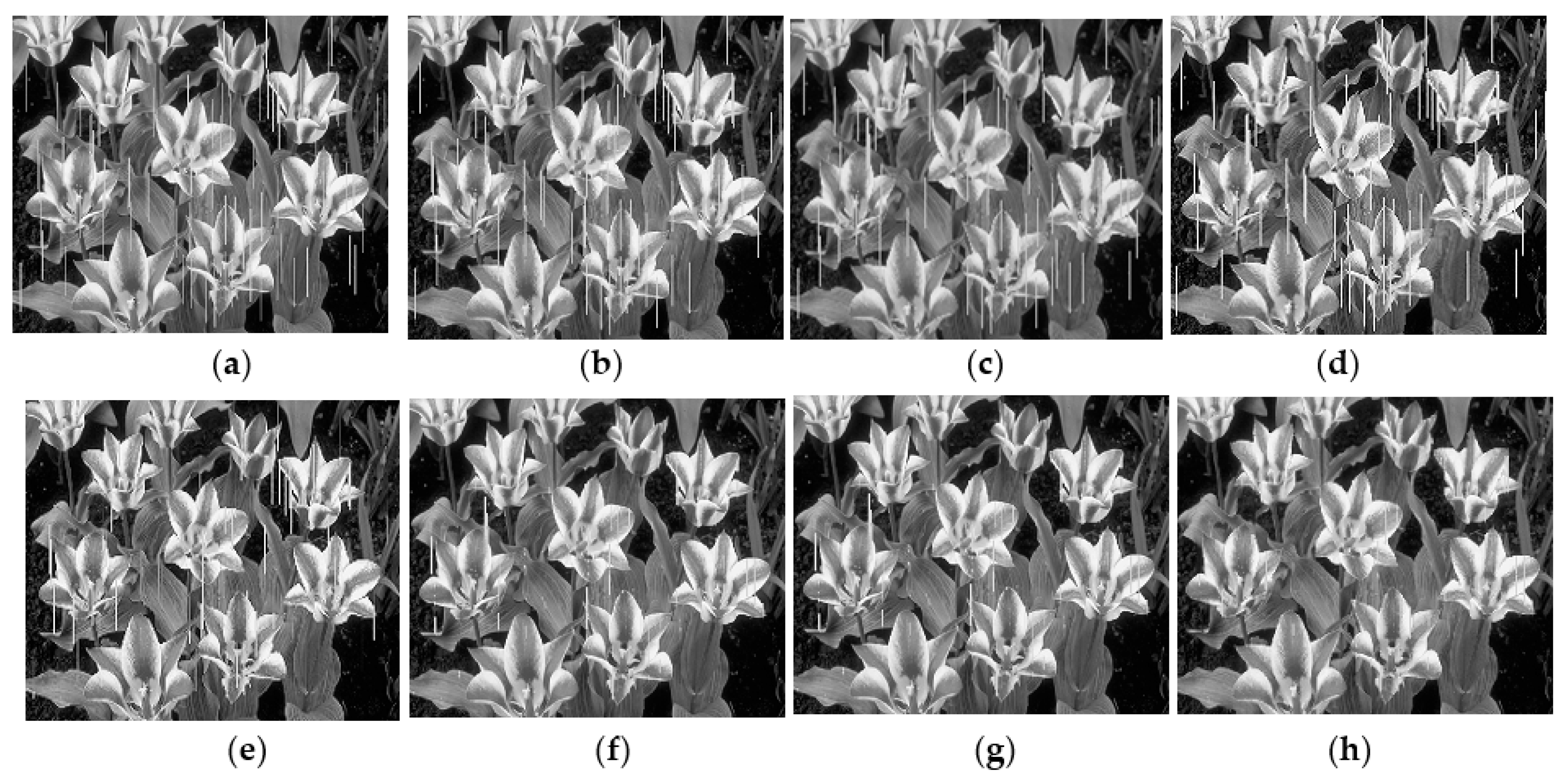 Symmetry 12 01280 g010