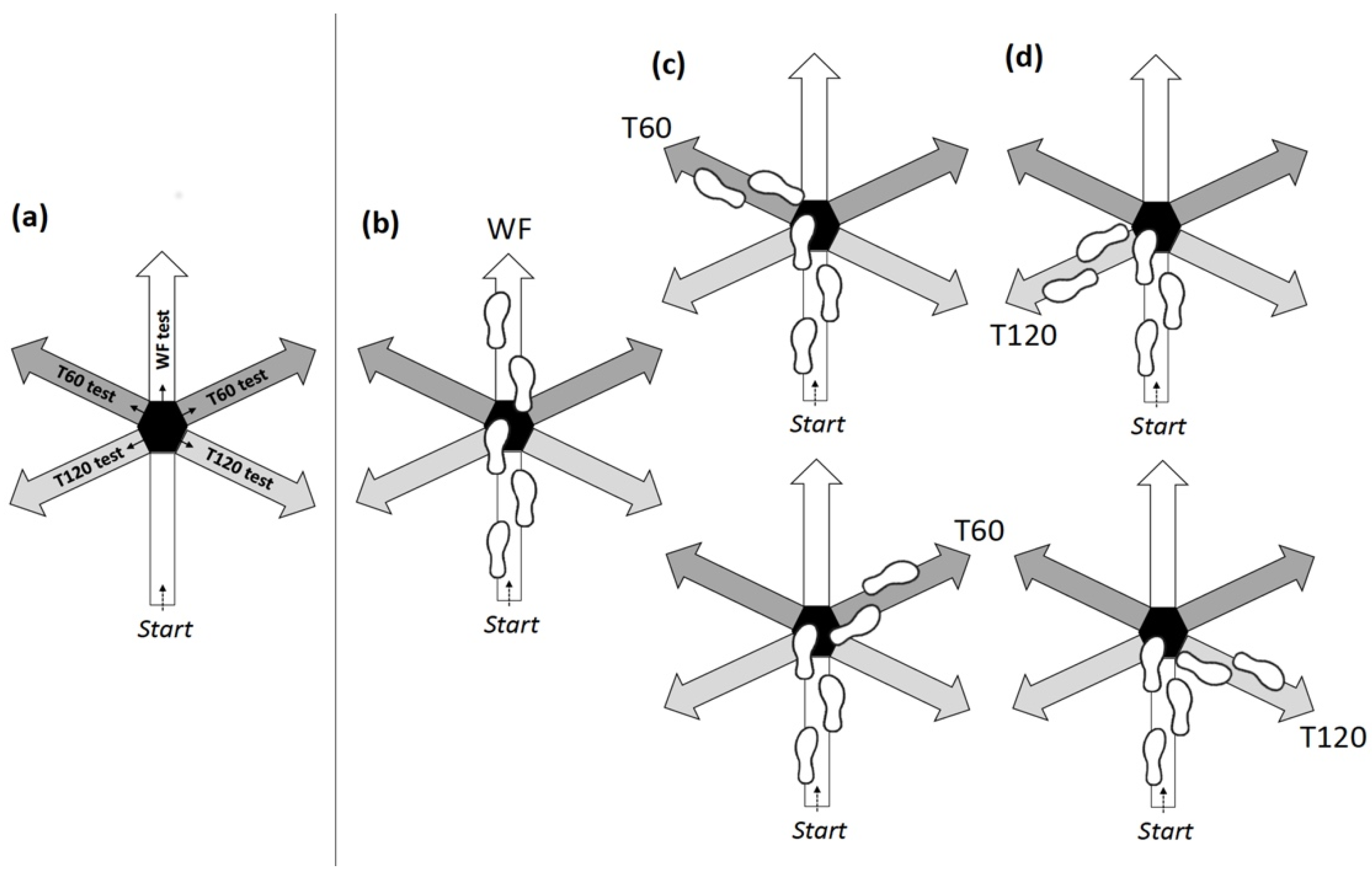 Symmetry 12 01284 g001 Symmetry 12 01284 g001