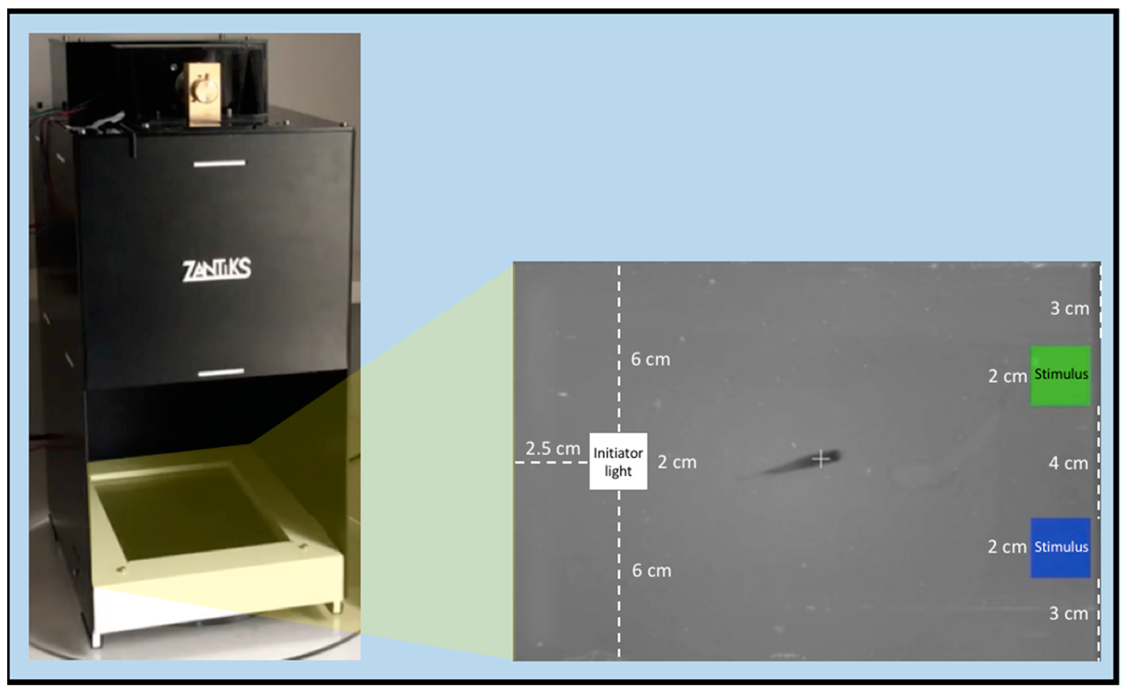 Symmetry 12 01294 g002 Symmetry 12 01294 g002