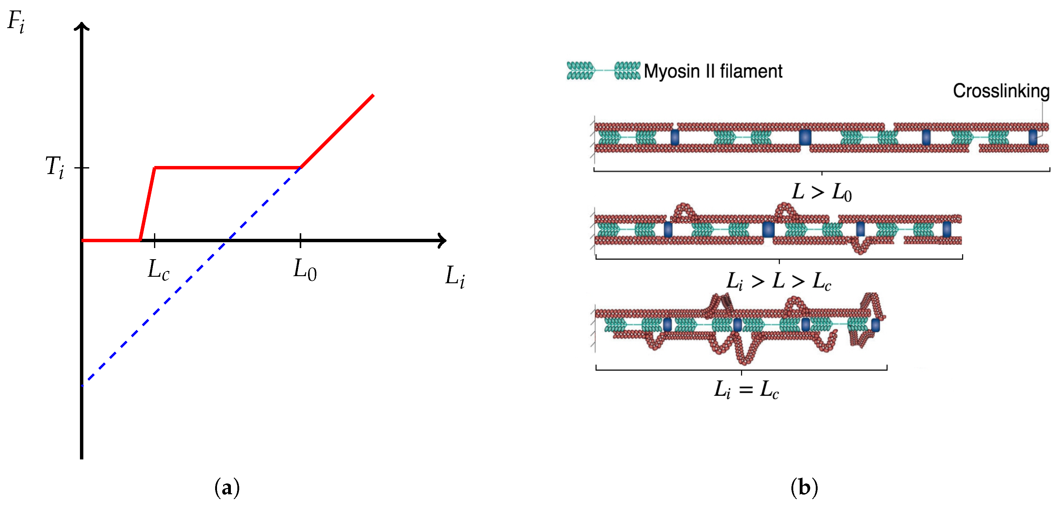 Symmetry 12 01348 g002 Symmetry 12 01348 g002