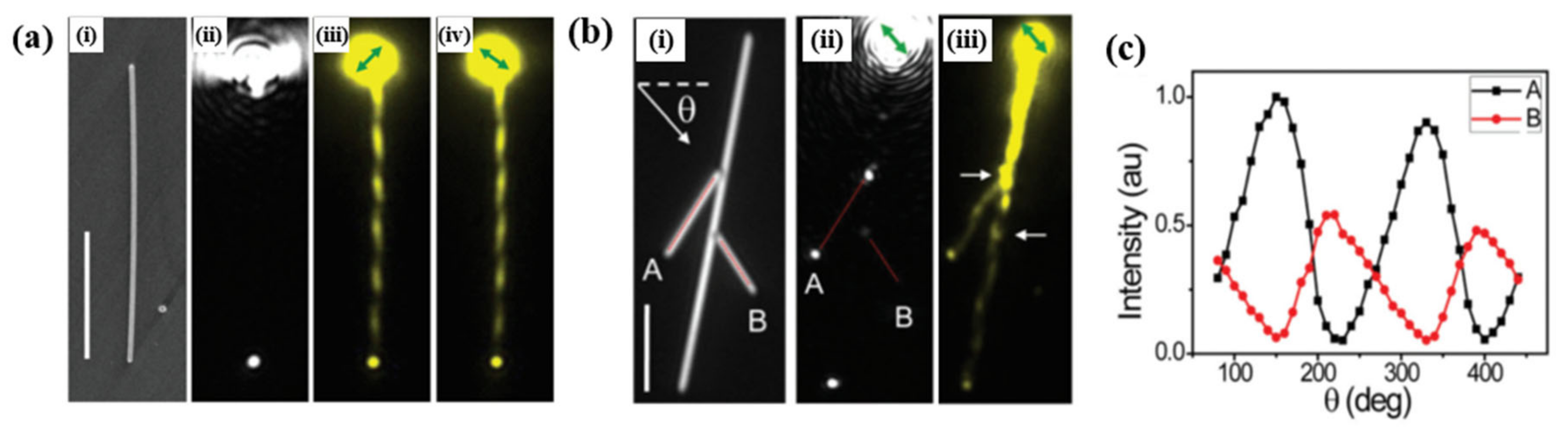 Symmetry 12 01365 g010 Symmetry 12 01365 g010