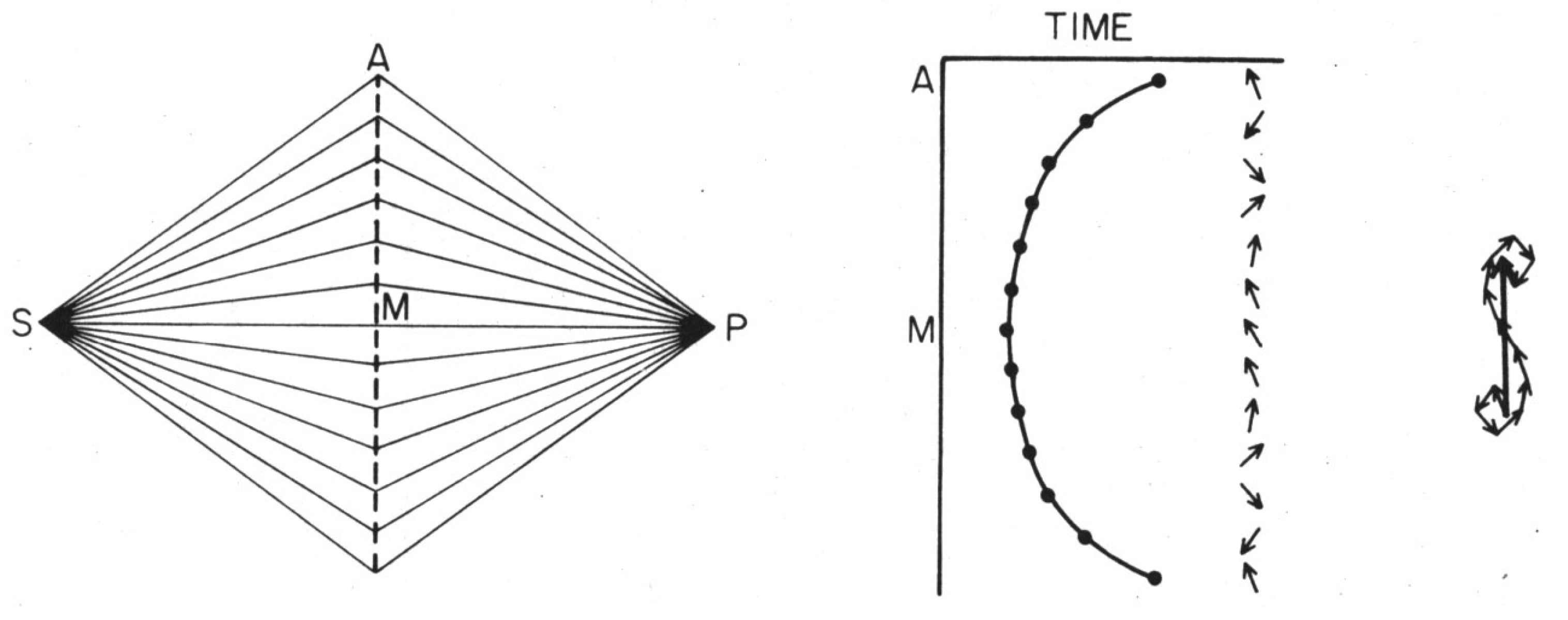 Symmetry Free Full Text Symmetry Transactions And The Mechanism Of Wave Function Collapse Html Symmetry Free Full Text Symmetry Transactions And The Mechanism Of Wave Function Collapse Html