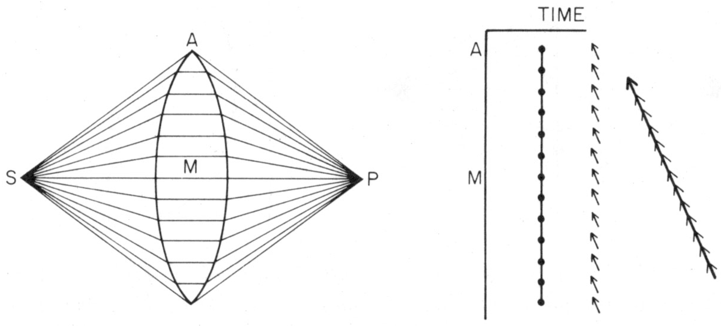 Symmetry 12 01373 g009