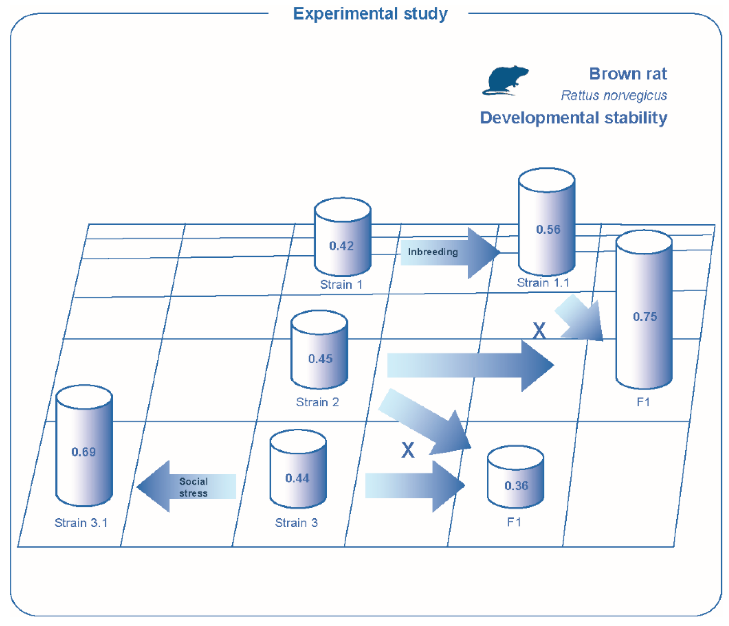Symmetry 12 01376 g003