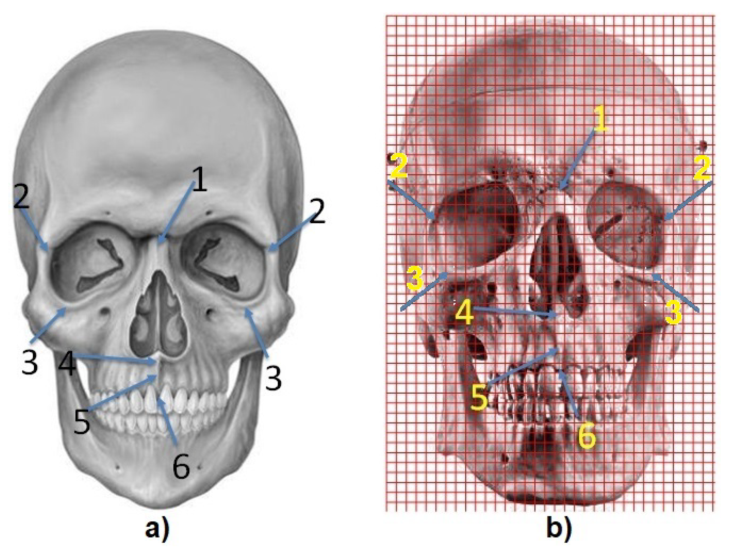 Symmetry 12 01448 g003