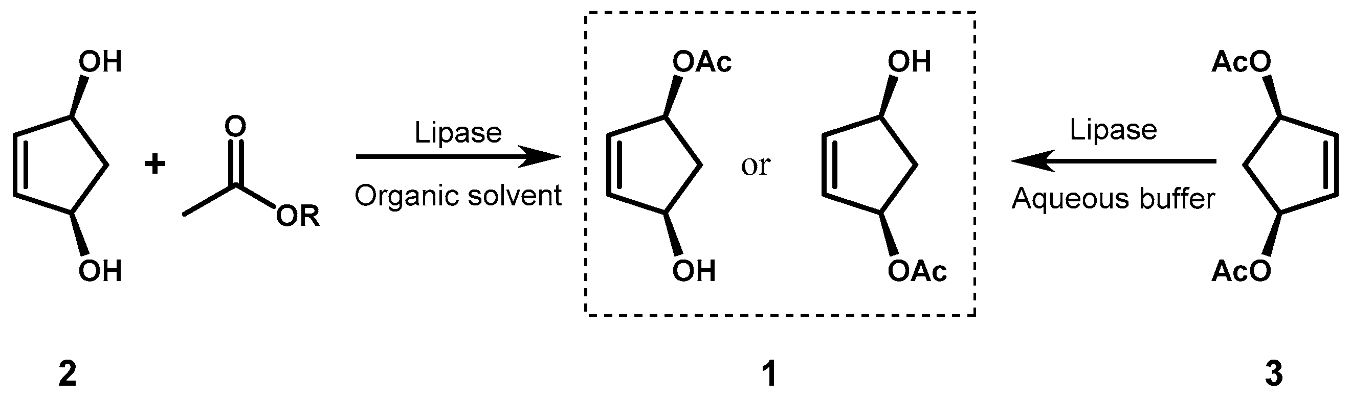 Symmetry 12 01454 g002