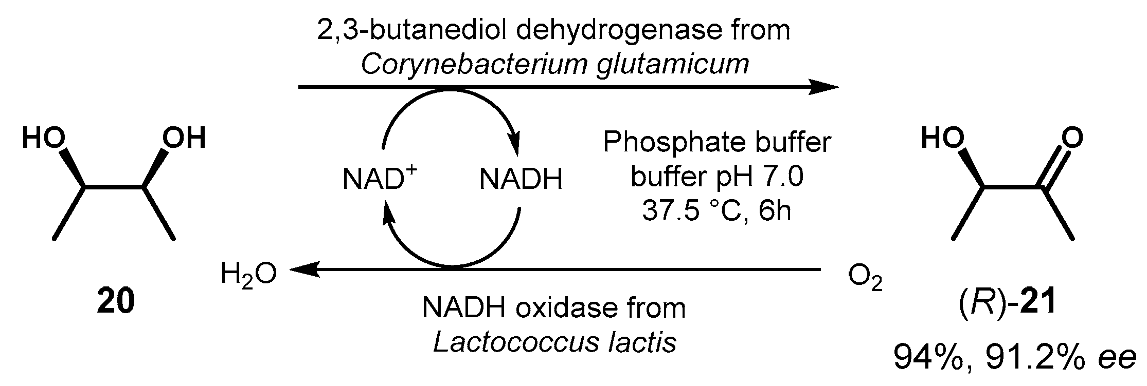 Symmetry 12 01454 g010