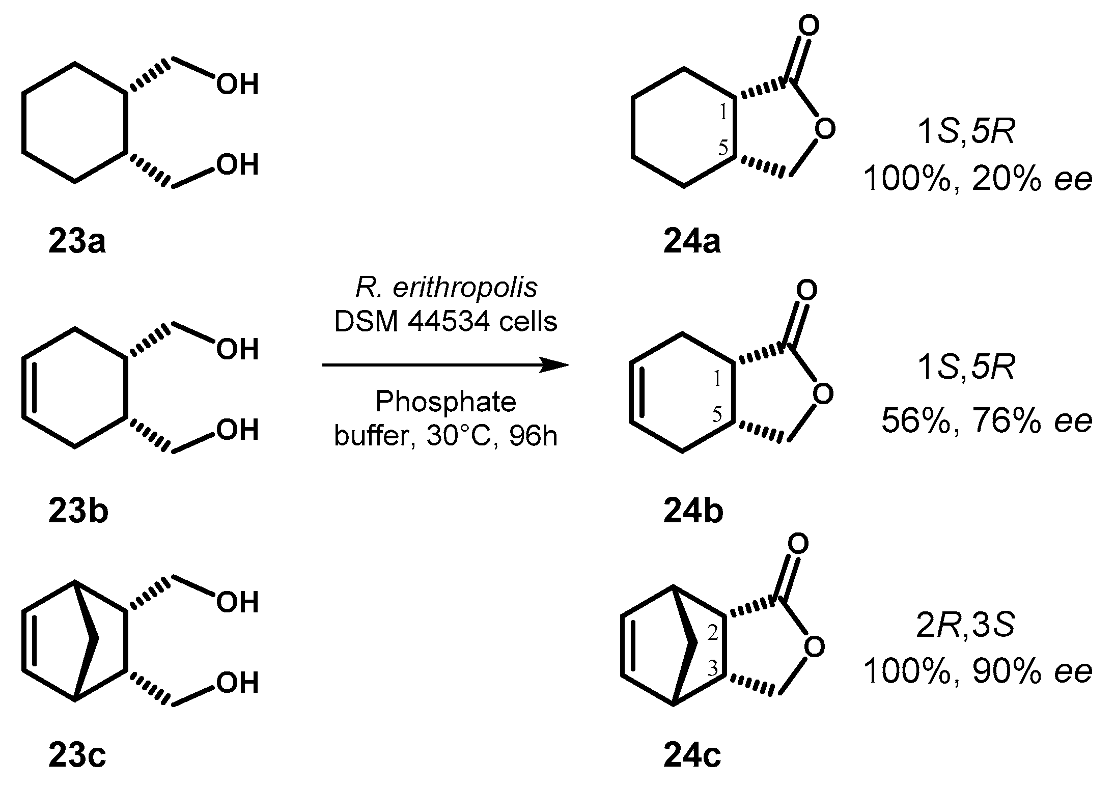 Symmetry 12 01454 g012