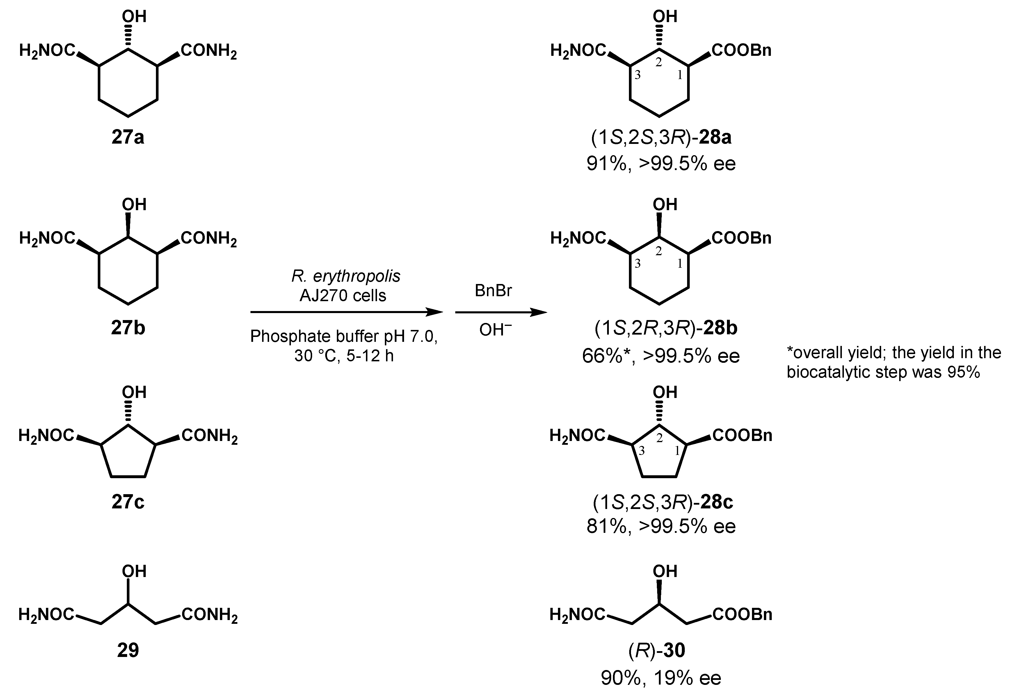 Symmetry 12 01454 g014