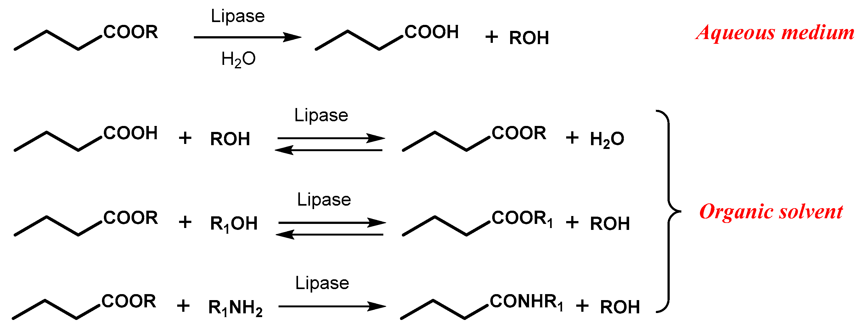 Symmetry 12 01454 sch002