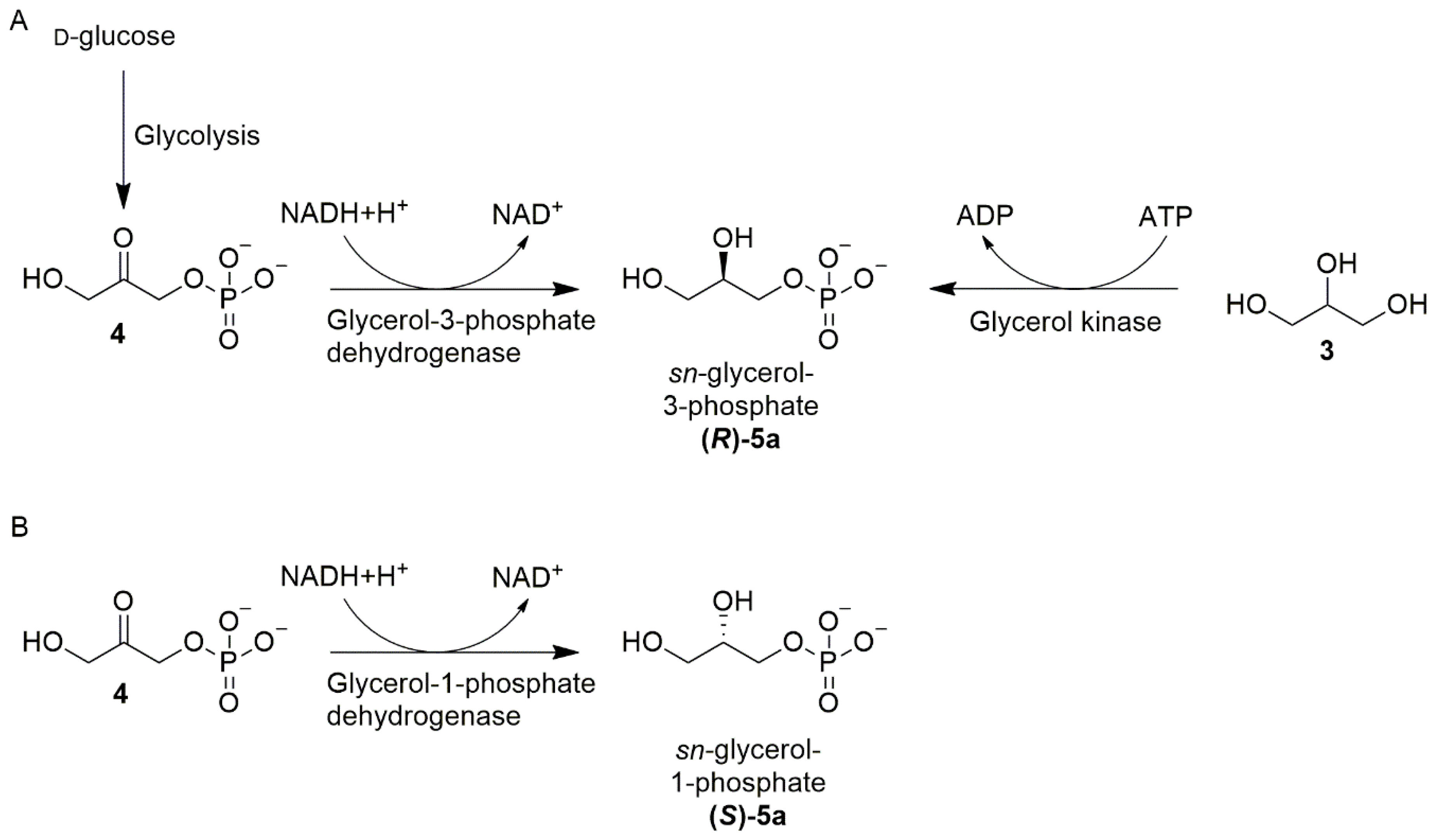 Symmetry 12 01488 sch003 Symmetry 12 01488 sch003