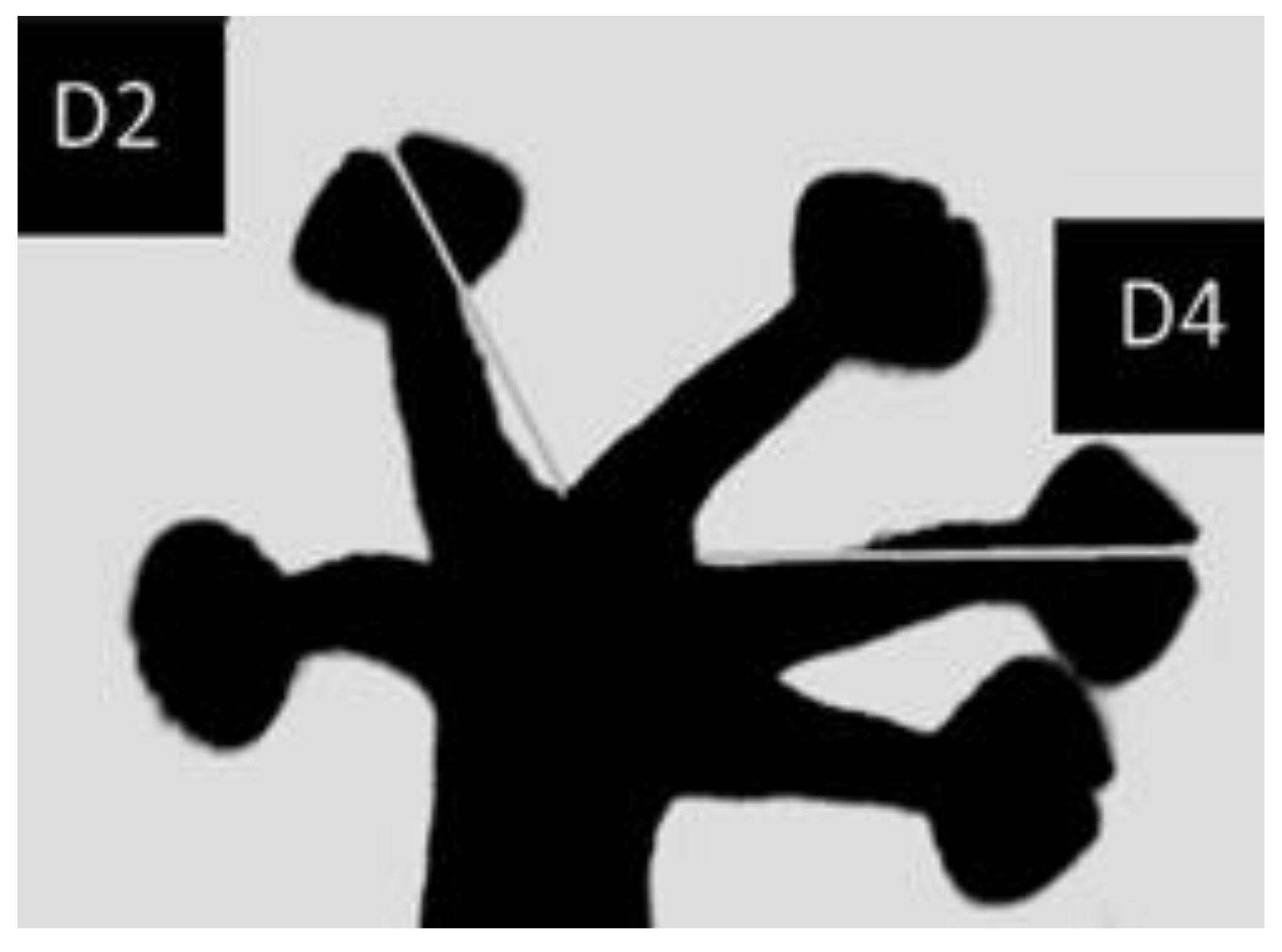 Symmetry 12 01490 g001 Symmetry 12 01490 g001