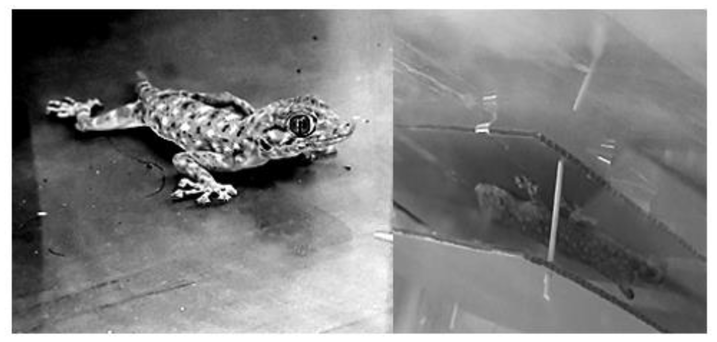 Symmetry 12 01490 g002 Symmetry 12 01490 g002