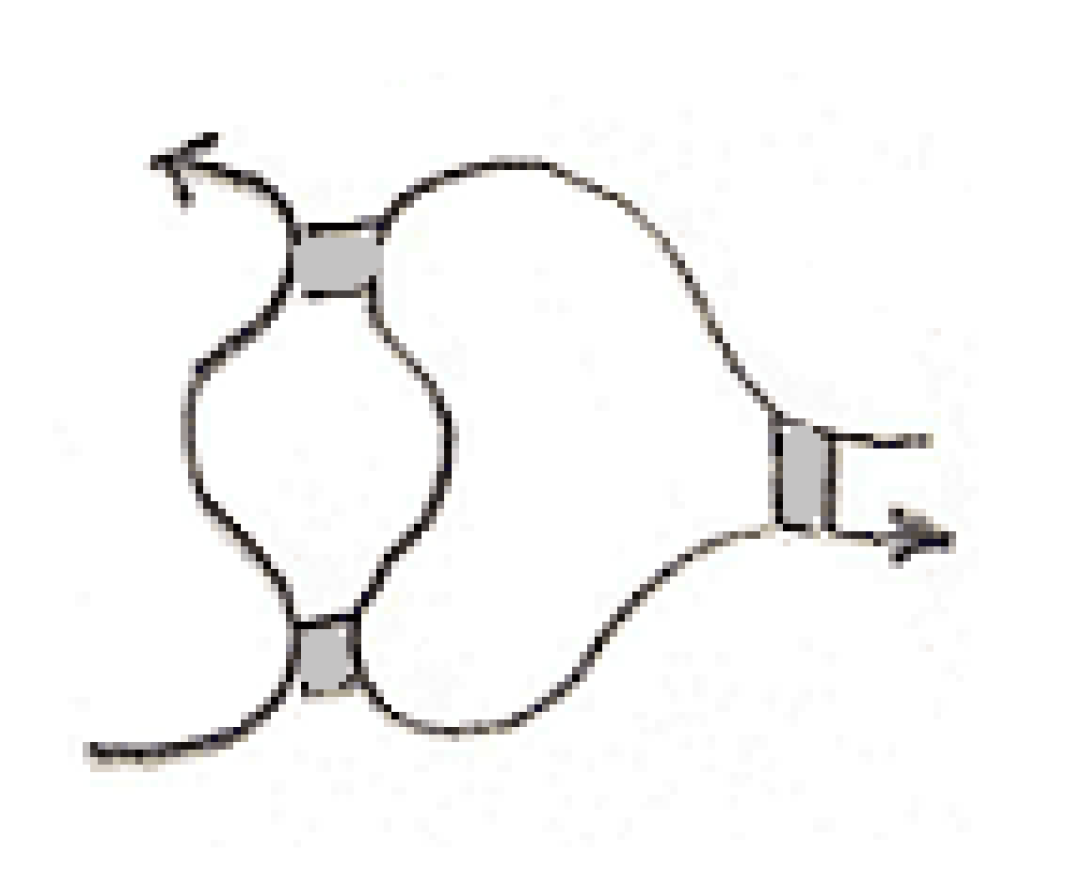 Symmetry 12 01558 g019