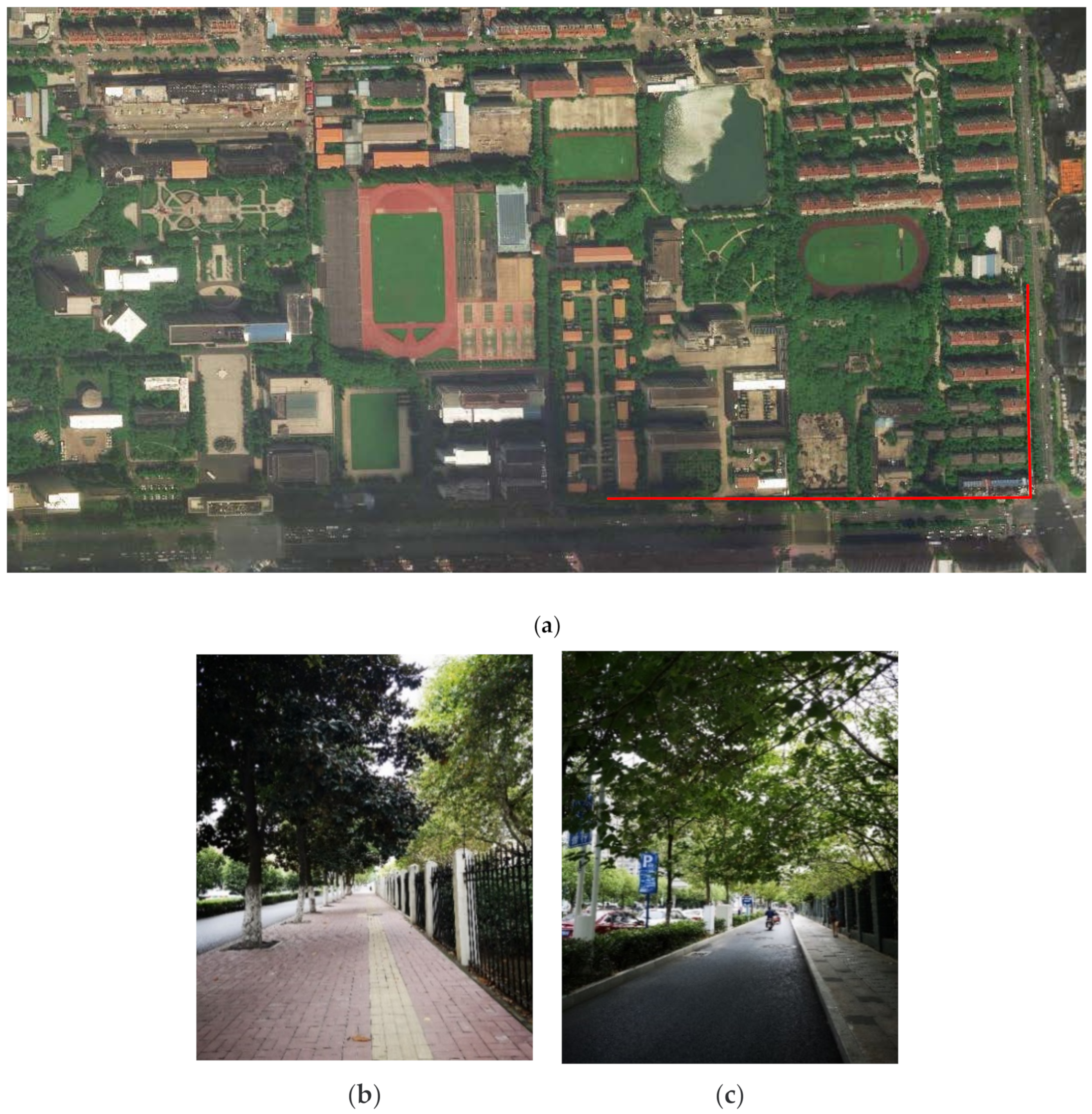 Symmetry 12 01565 g006