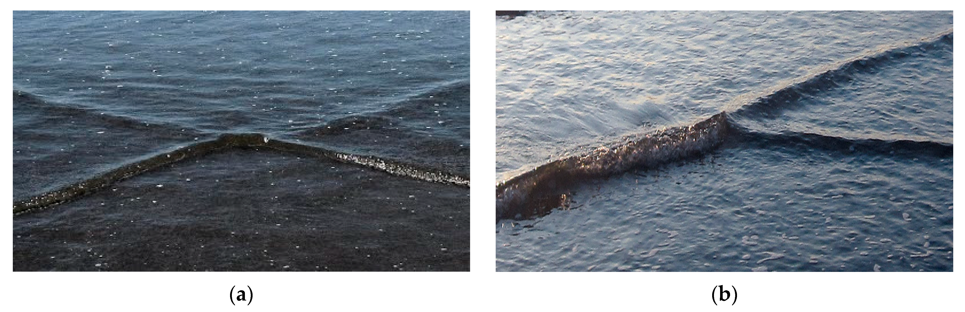 Symmetry 12 01586 g001