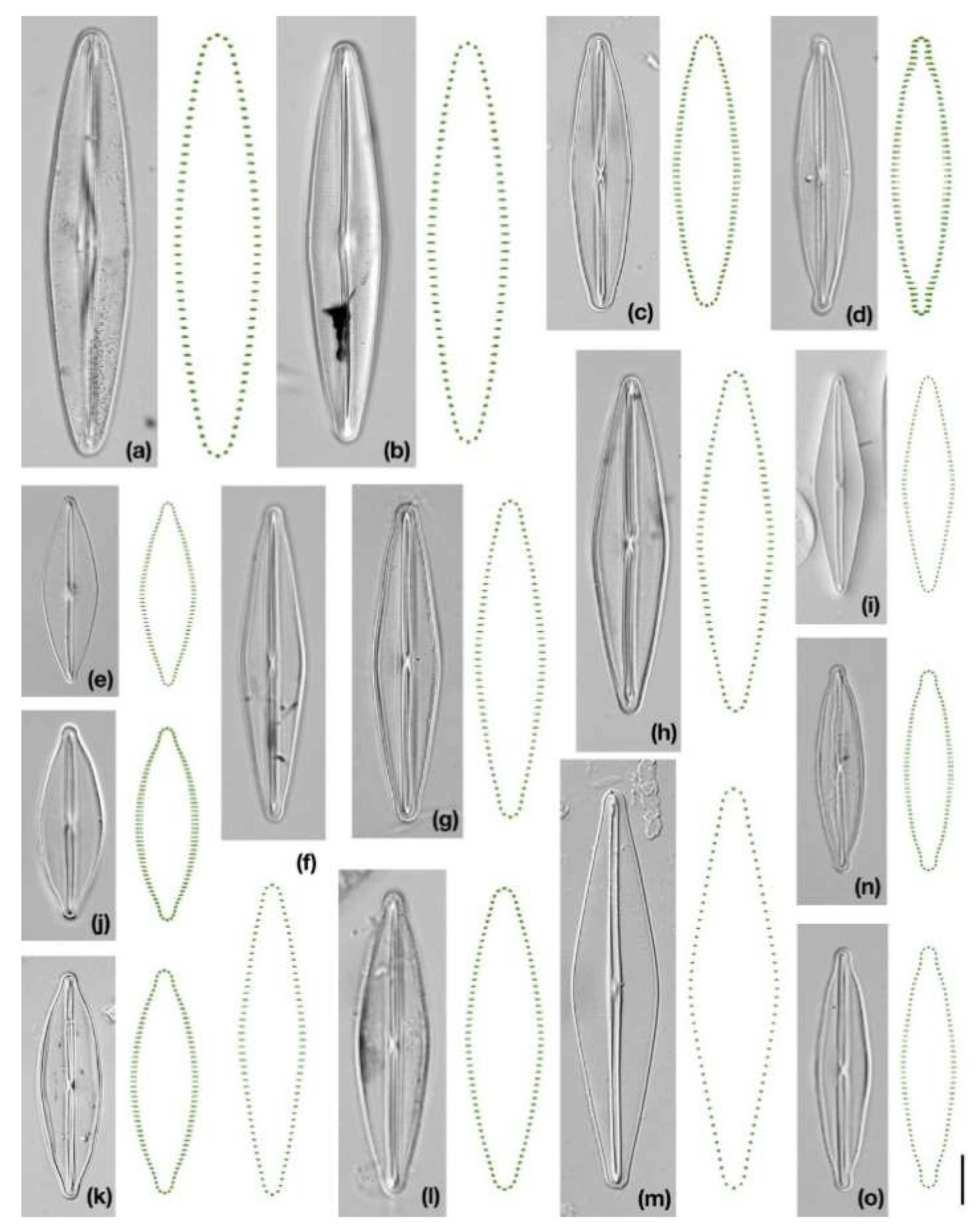 Symmetry 12 01626 g001 Symmetry 12 01626 g001