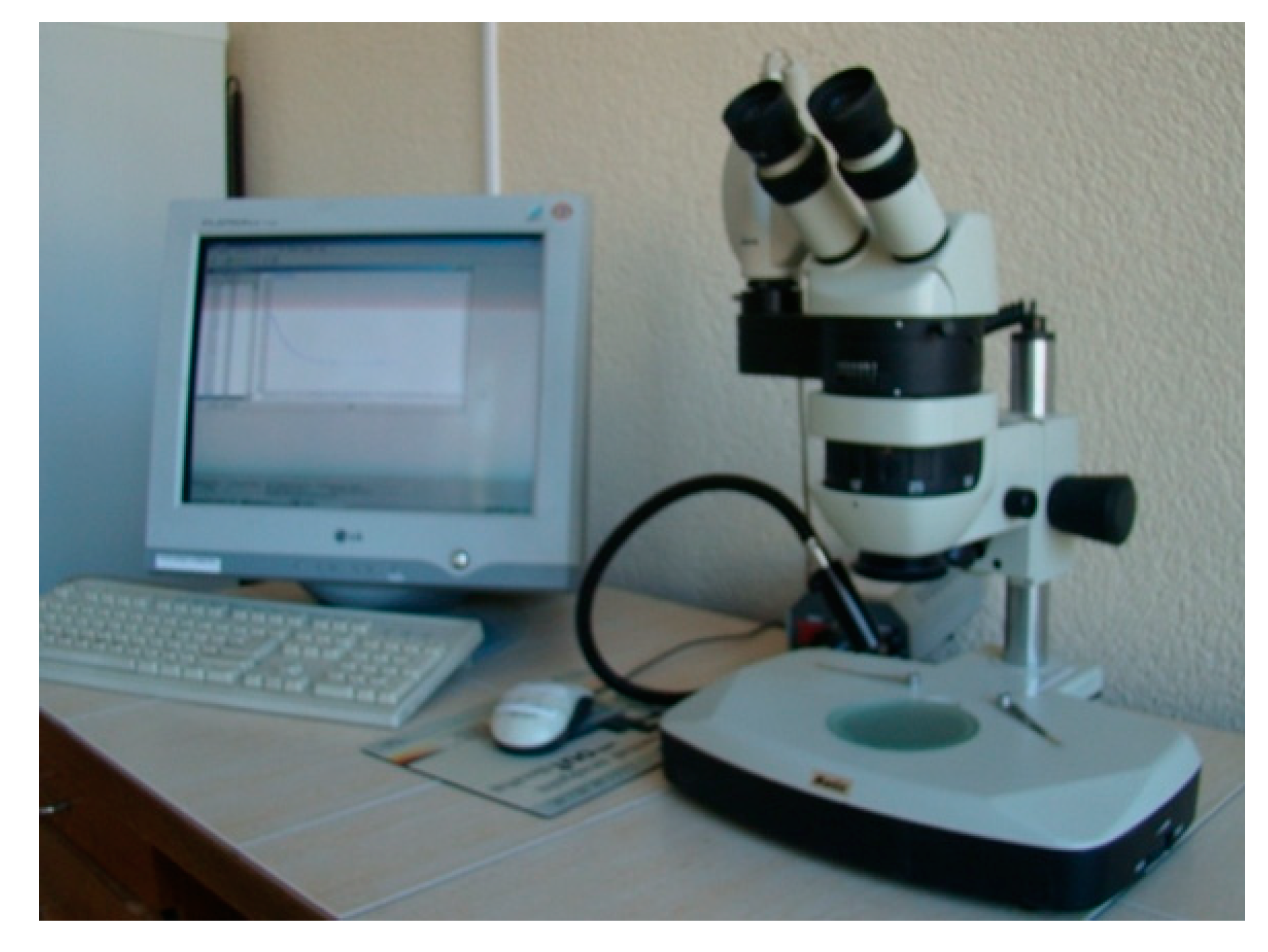 Symmetry 12 01717 g008