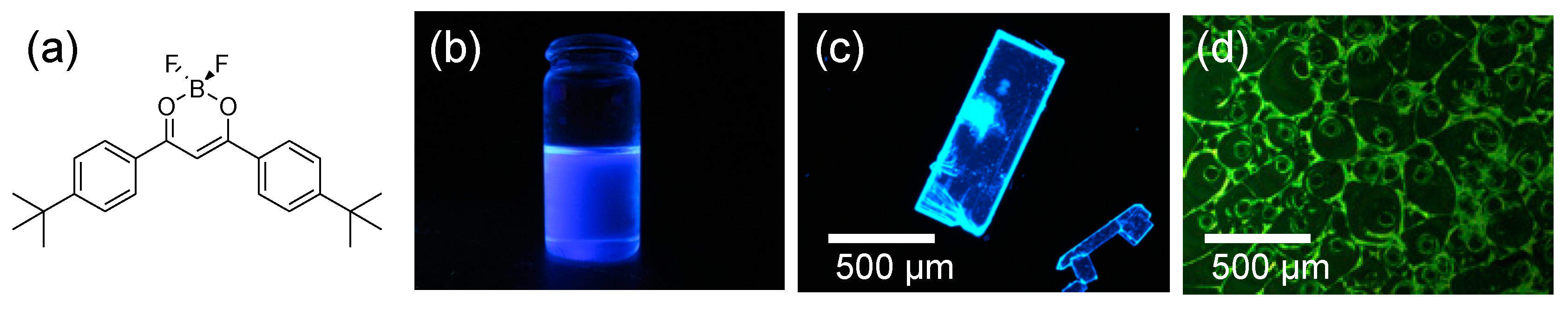 Symmetry 12 01726 g006