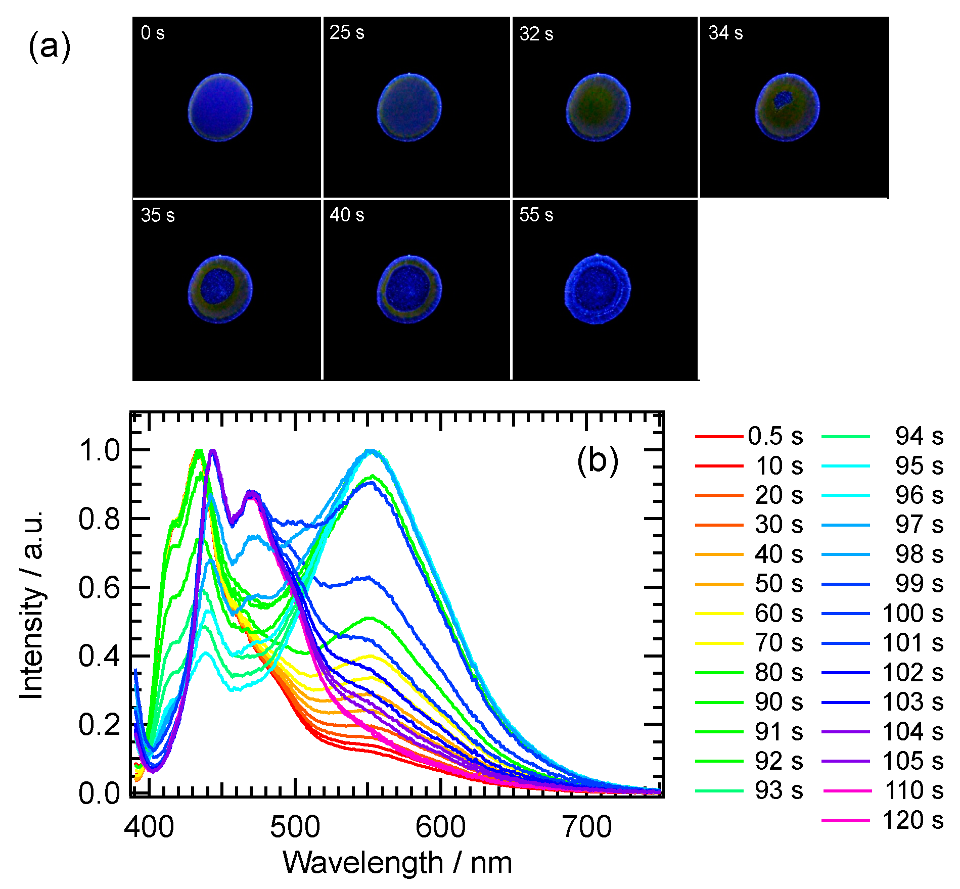 Symmetry 12 01726 g007