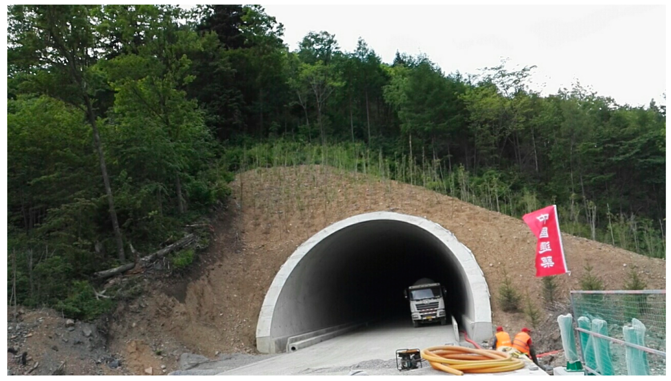 Symmetry 12 01793 g001 550