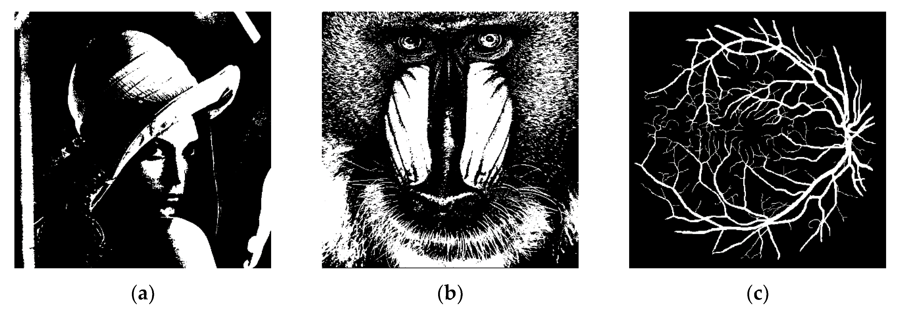 Symmetry 12 01808 g008