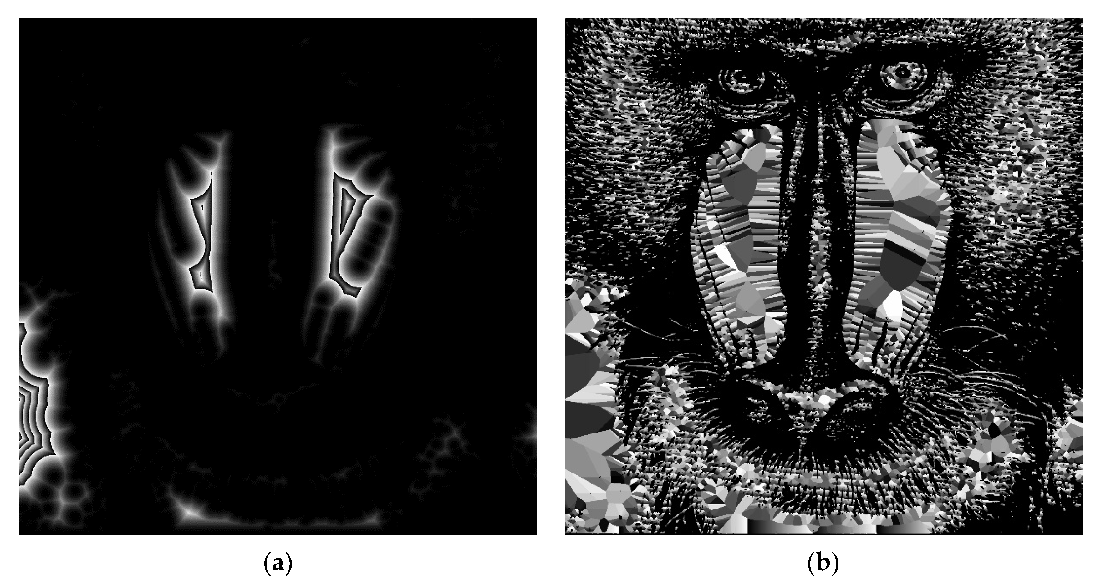 Symmetry 12 01808 g011