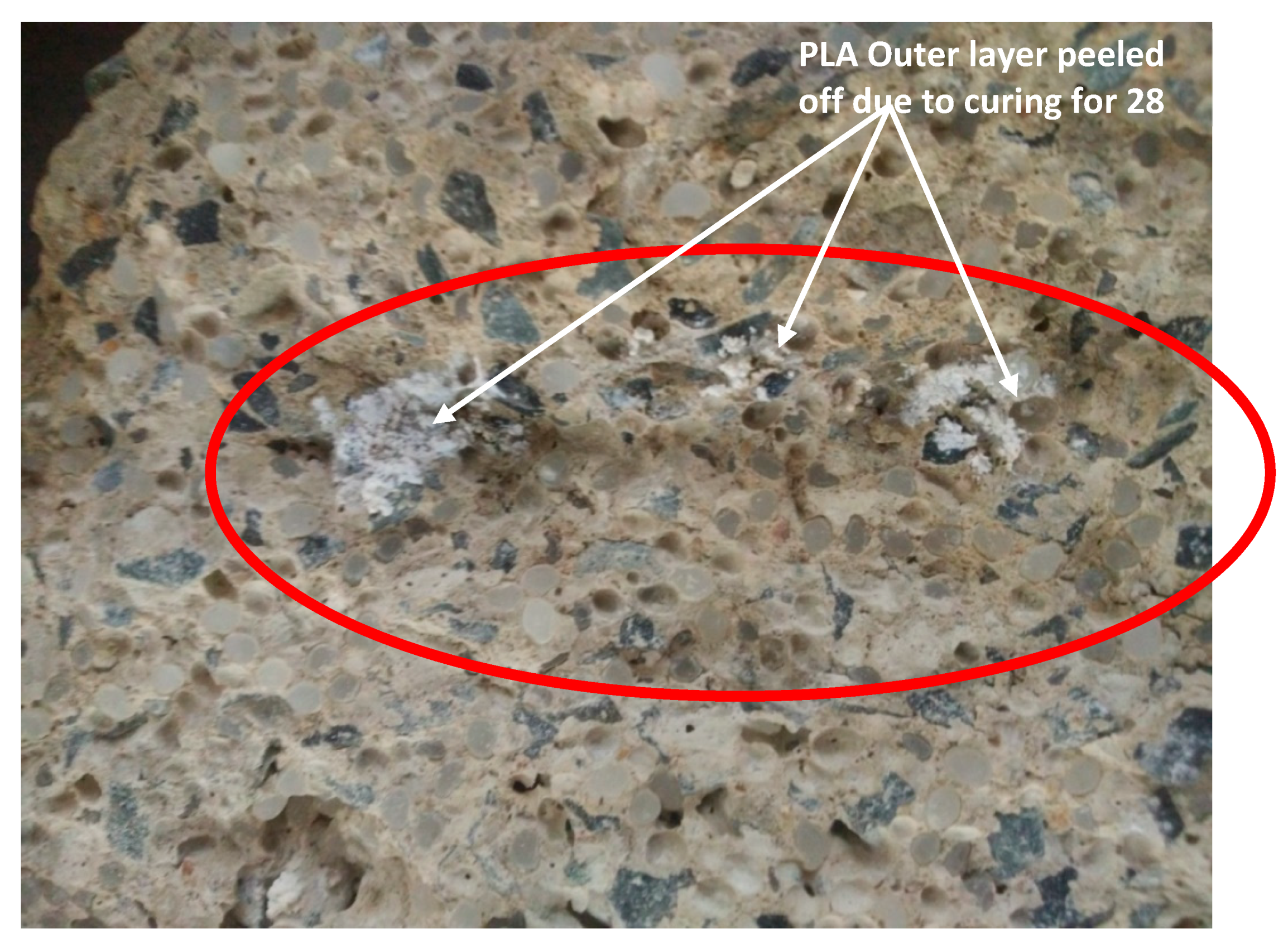 Symmetry 12 01823 g021