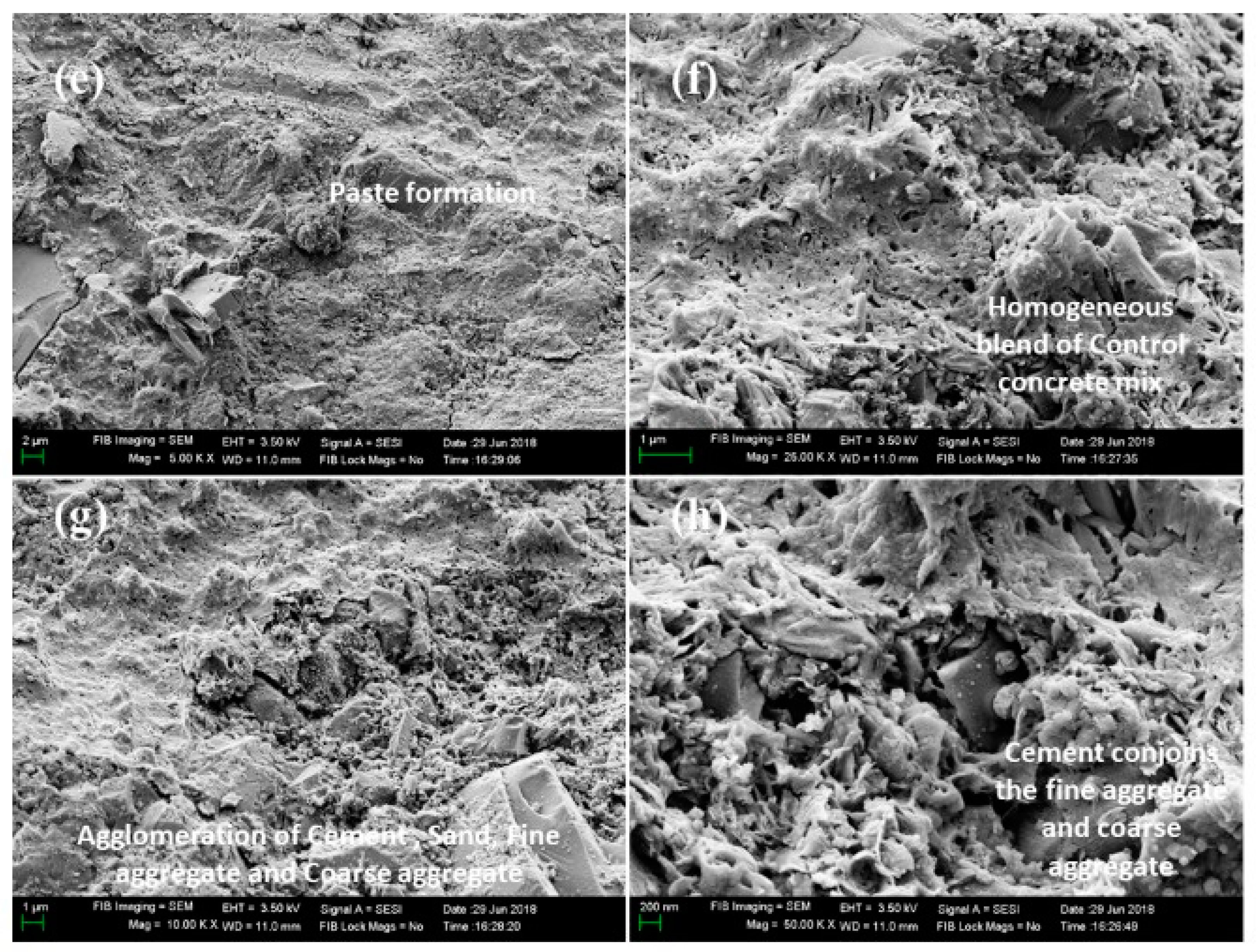 Symmetry 12 01823 g034b
