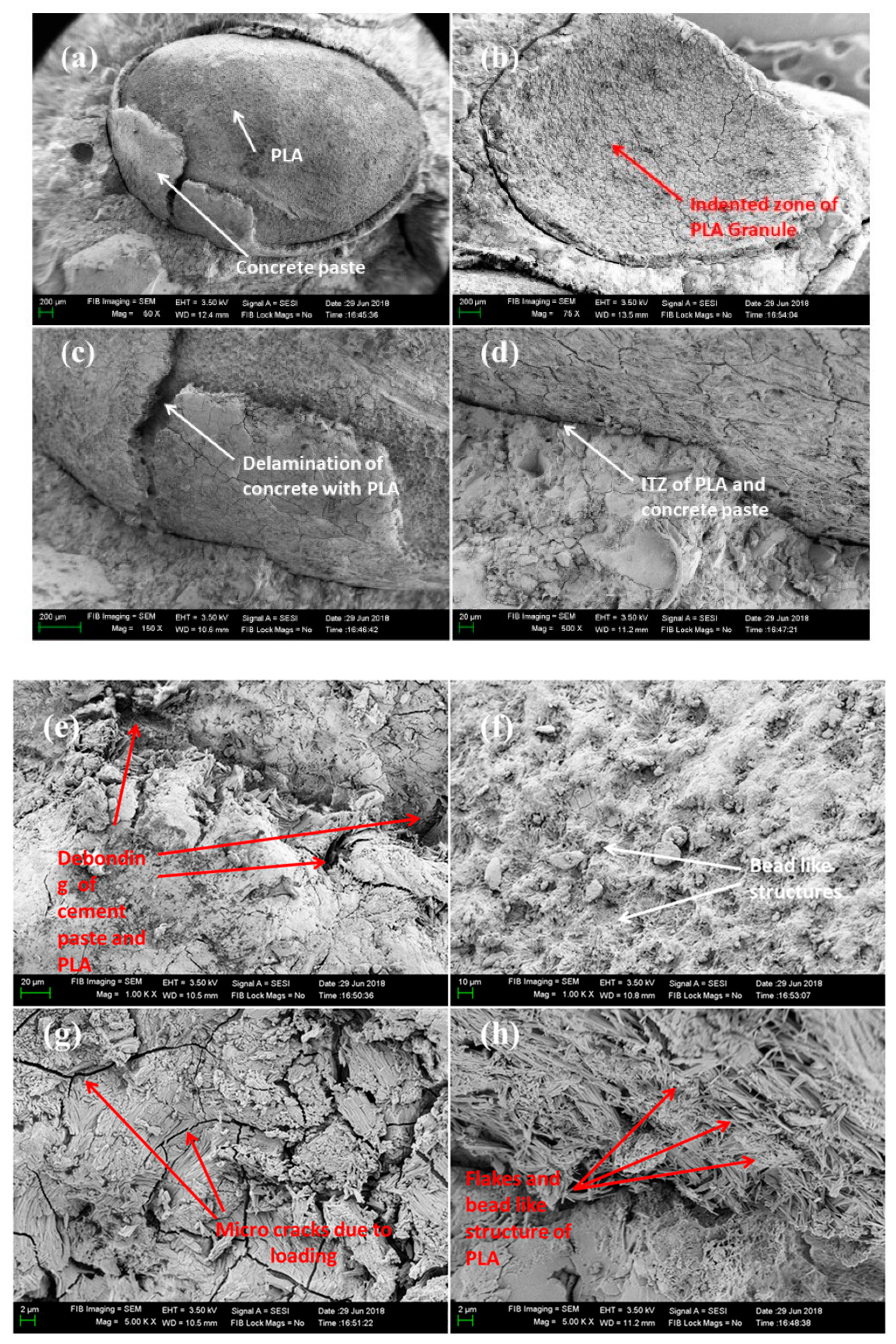 Symmetry 12 01823 g036
