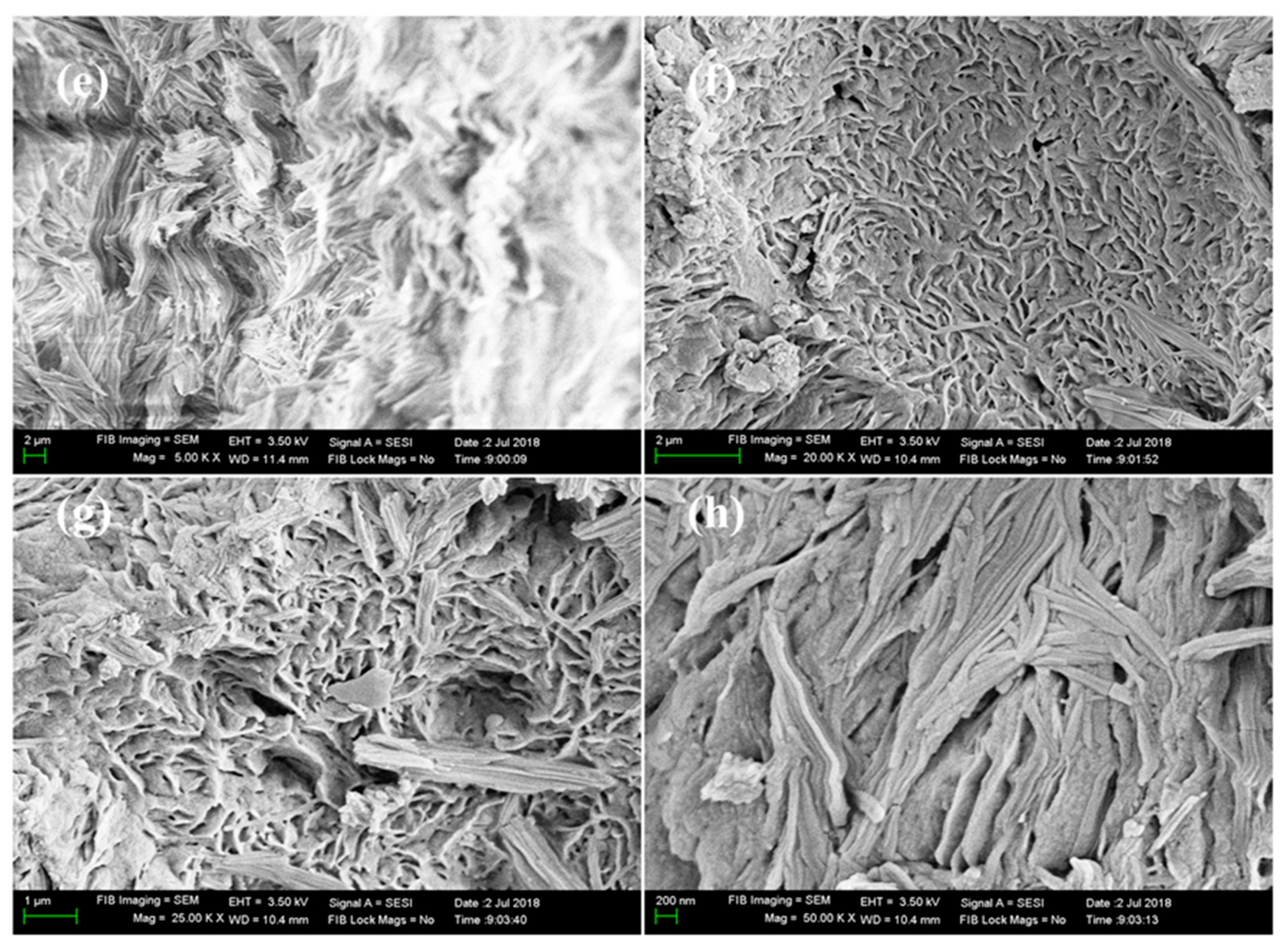 Symmetry 12 01823 g037b