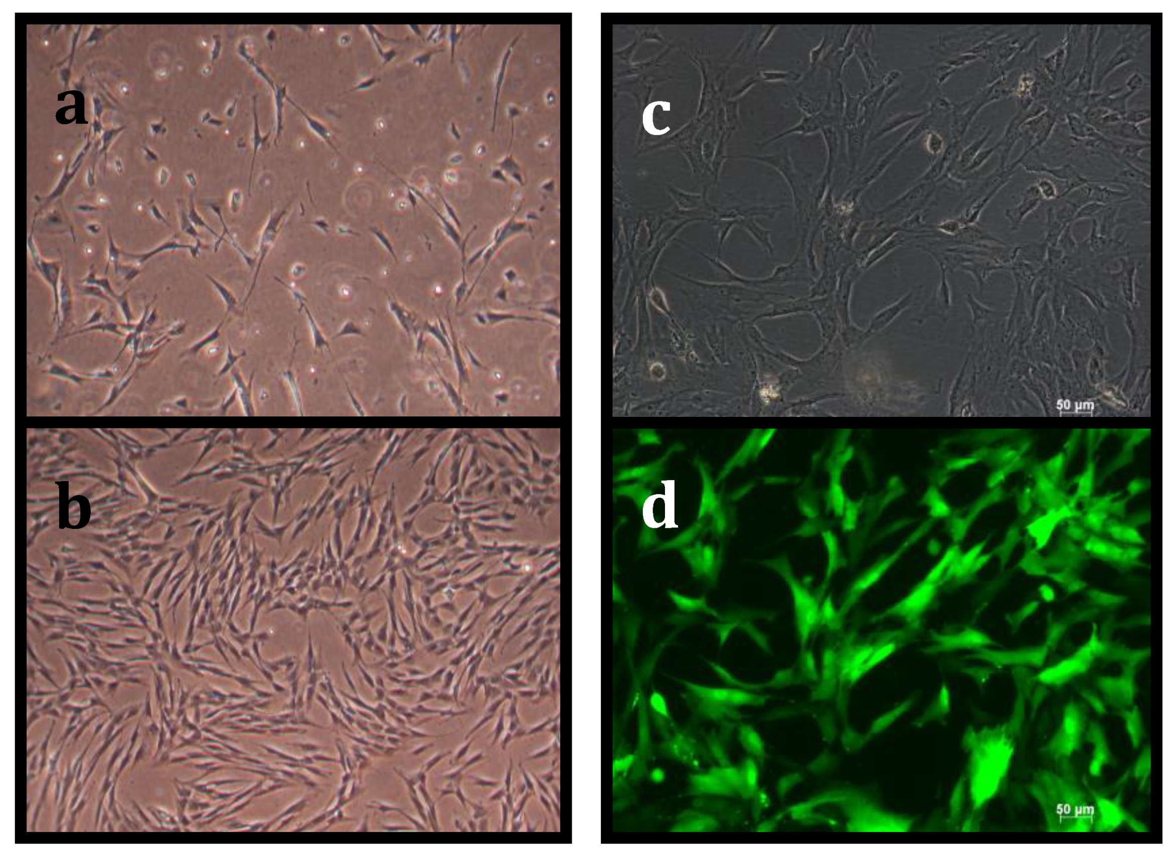 Symmetry 12 01868 g002 Symmetry 12 01868 g002