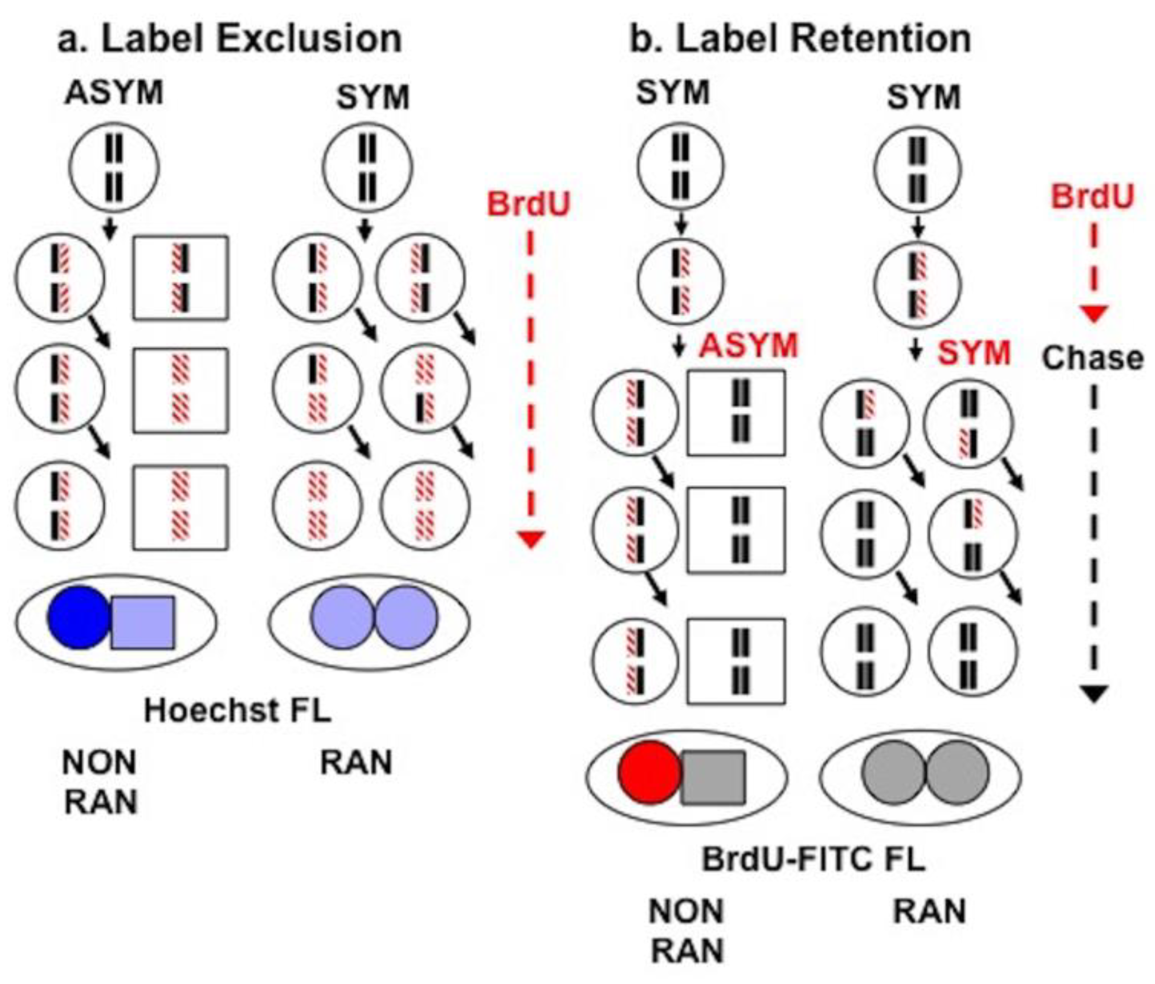Symmetry 12 01868 g006 Symmetry 12 01868 g006
