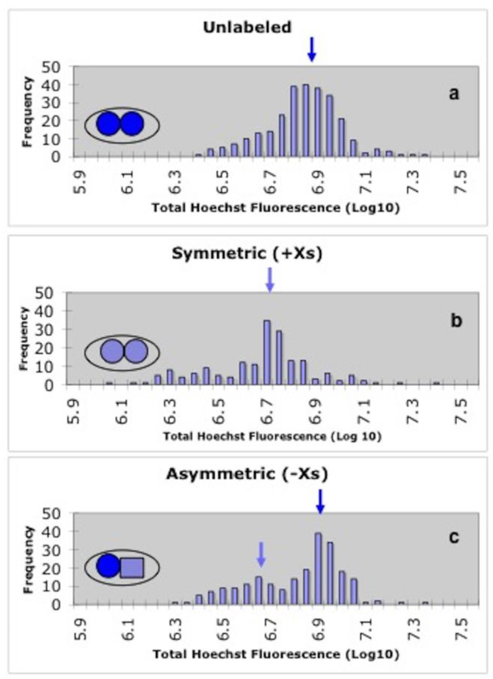 Symmetry 12 01868 g007 Symmetry 12 01868 g007