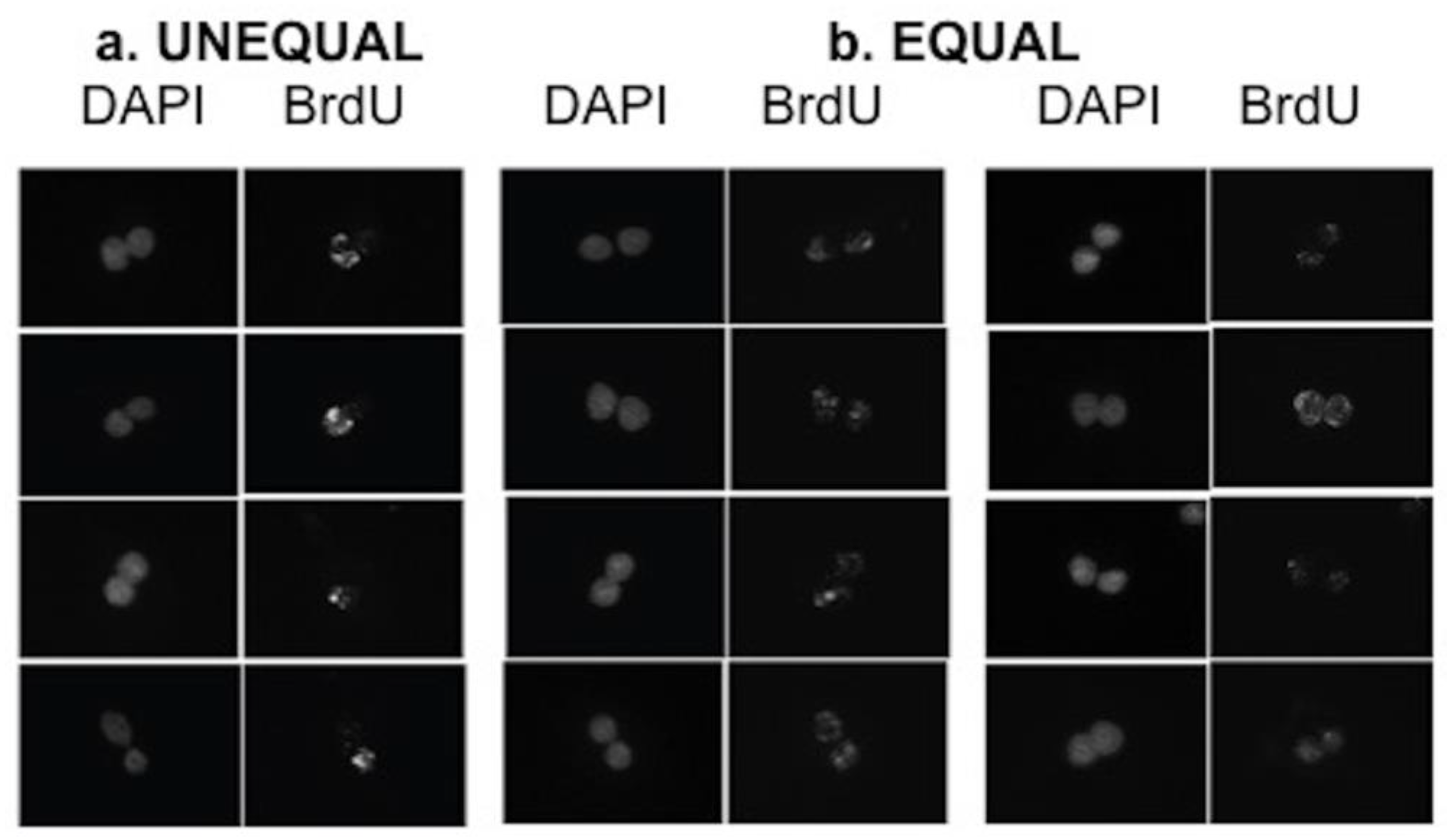 Symmetry 12 01868 g009 Symmetry 12 01868 g009