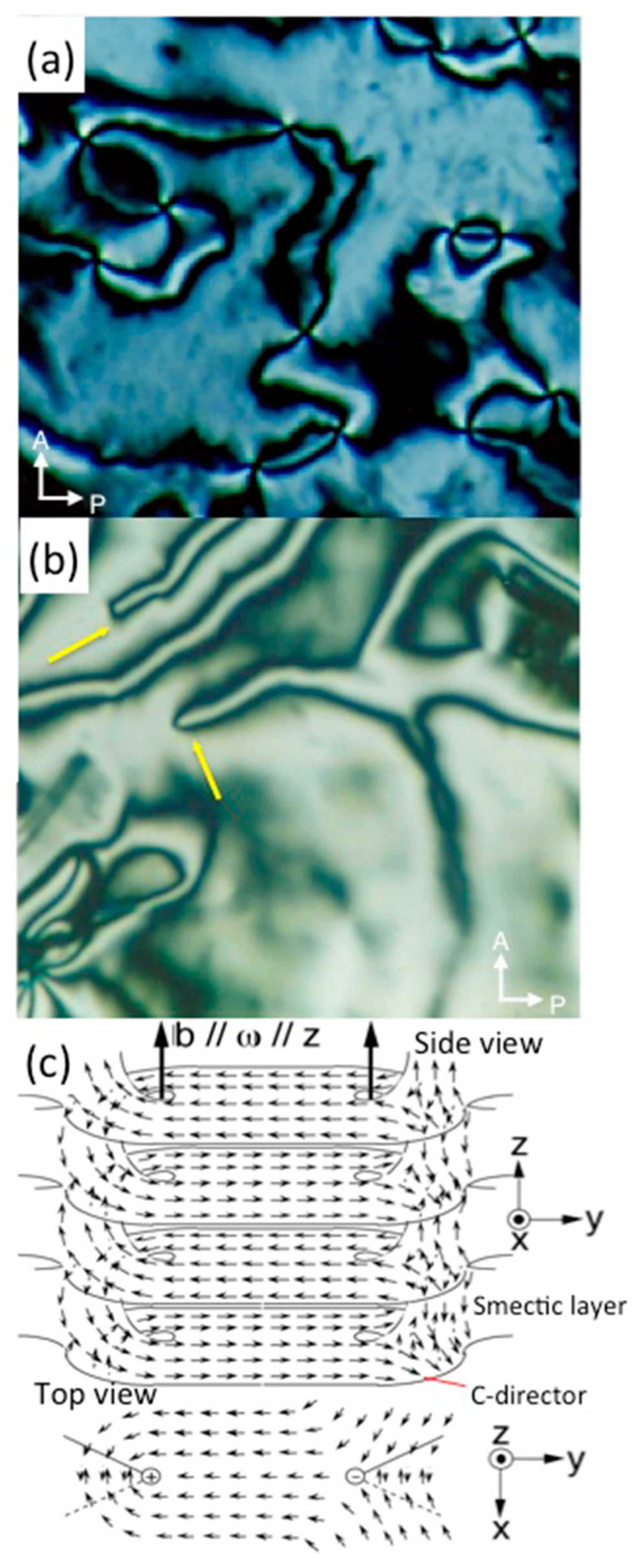 Symmetry 12 01900 g008 Symmetry 12 01900 g008