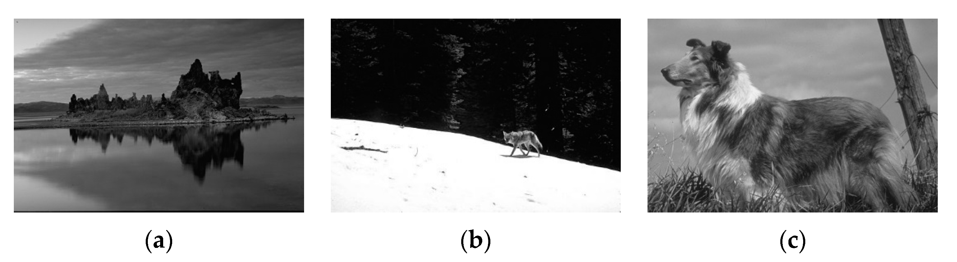 Symmetry 12 01990 g005