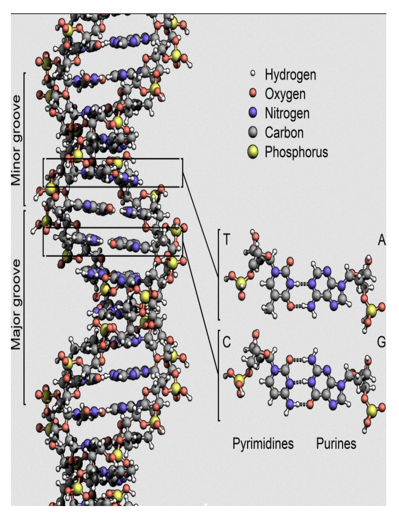 Symmetry 12 01993 g001