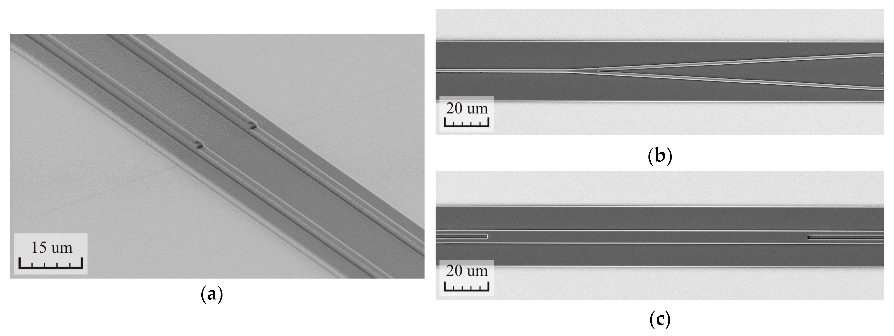 Symmetry 12 02015 g003